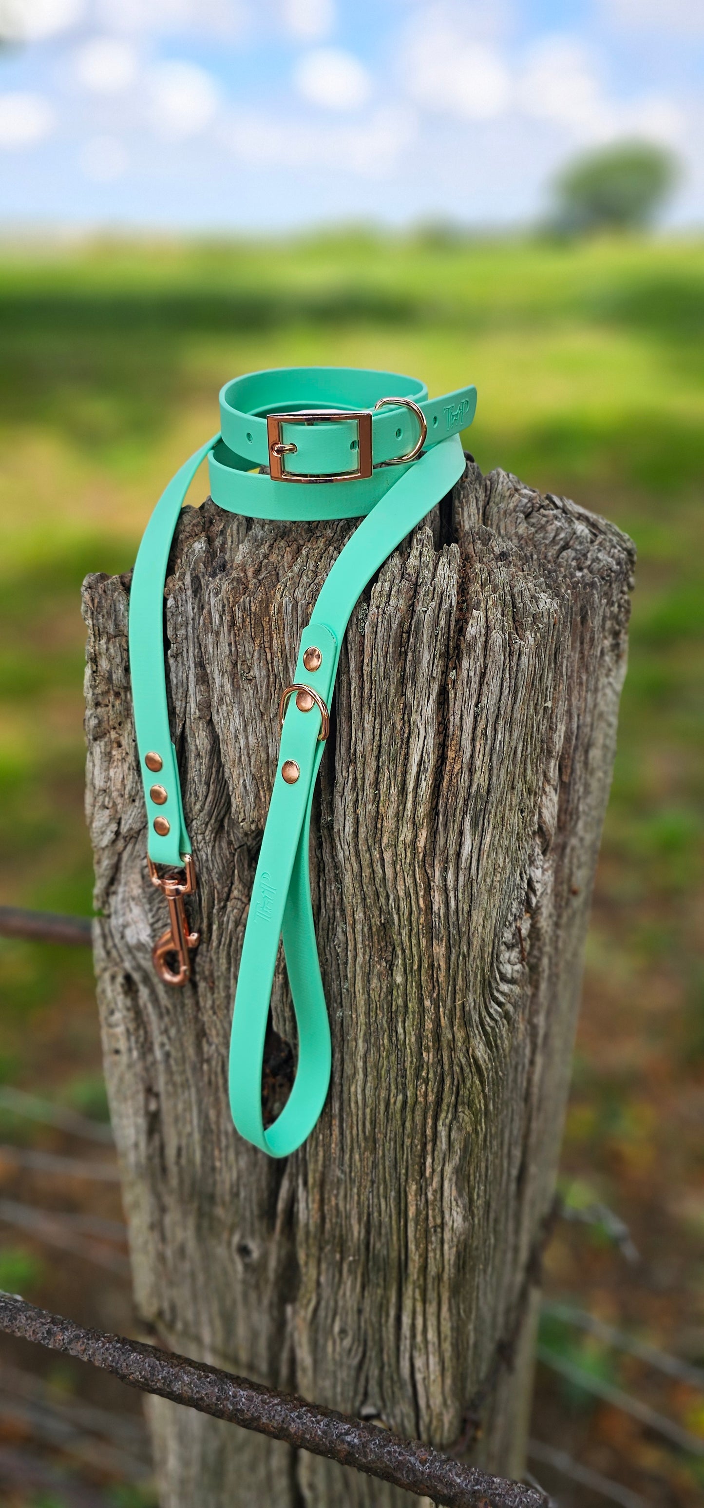 Mint - Waterproof BioThane© Dog Collar