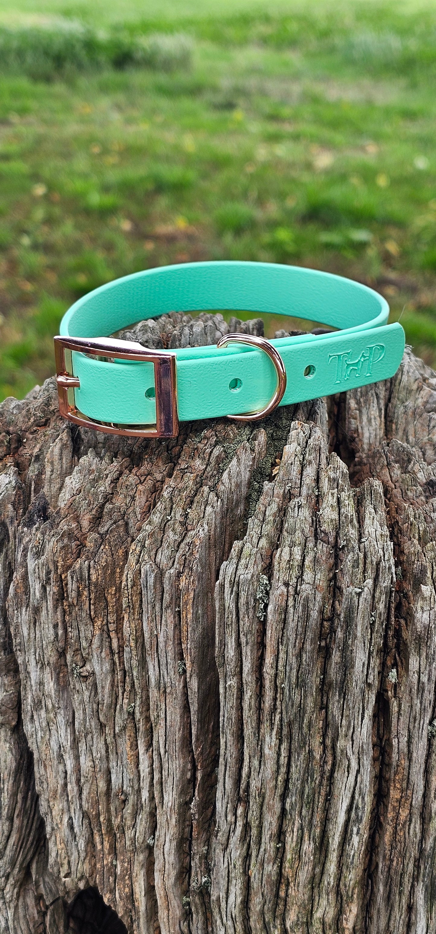 Mint - Waterproof BioThane© Dog Collar