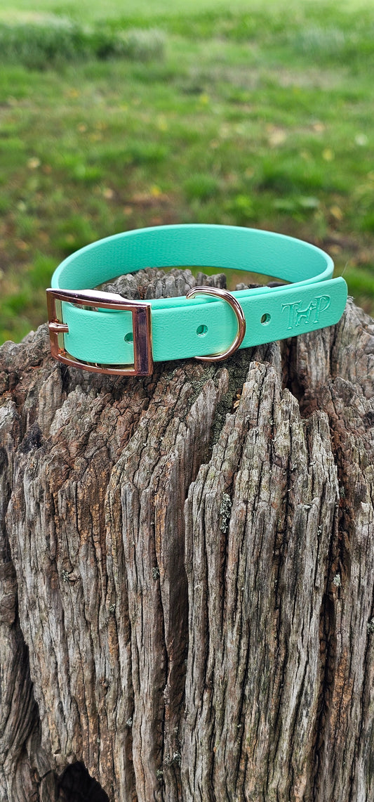 Mint - Waterproof BioThane© Dog Collar