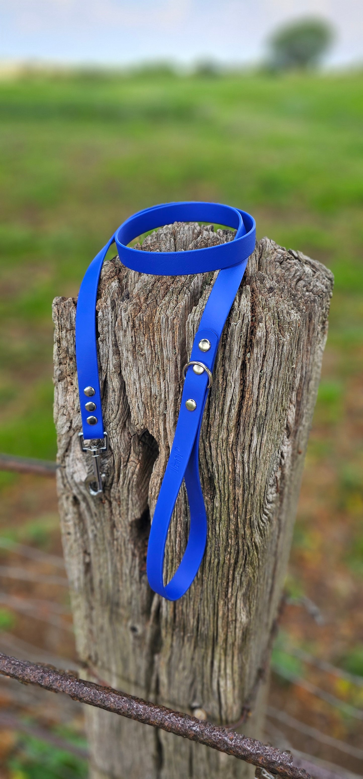 Royal Blue - Waterproof BioThane© Dog Lead