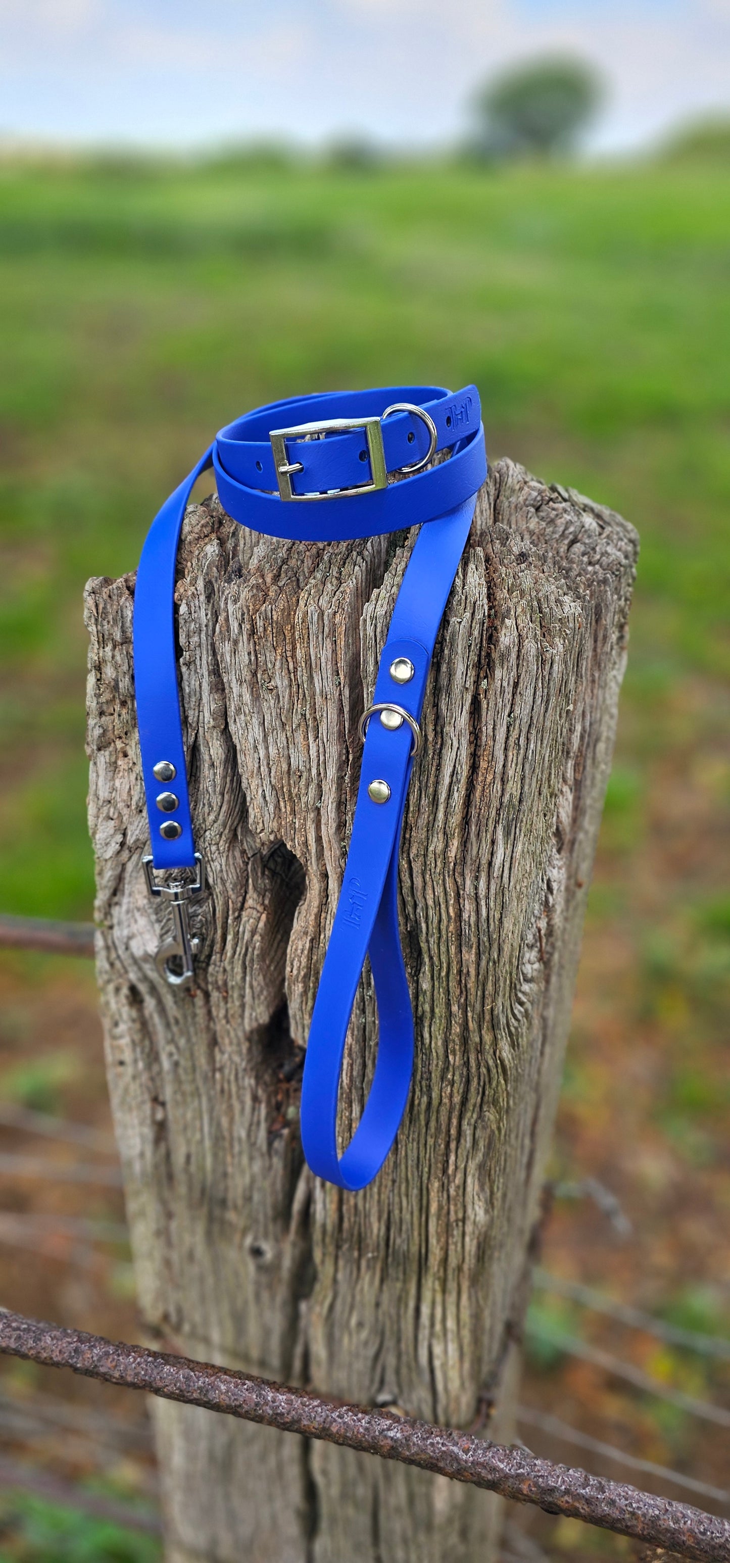 Royal Blue - Waterproof BioThane© Dog Collar
