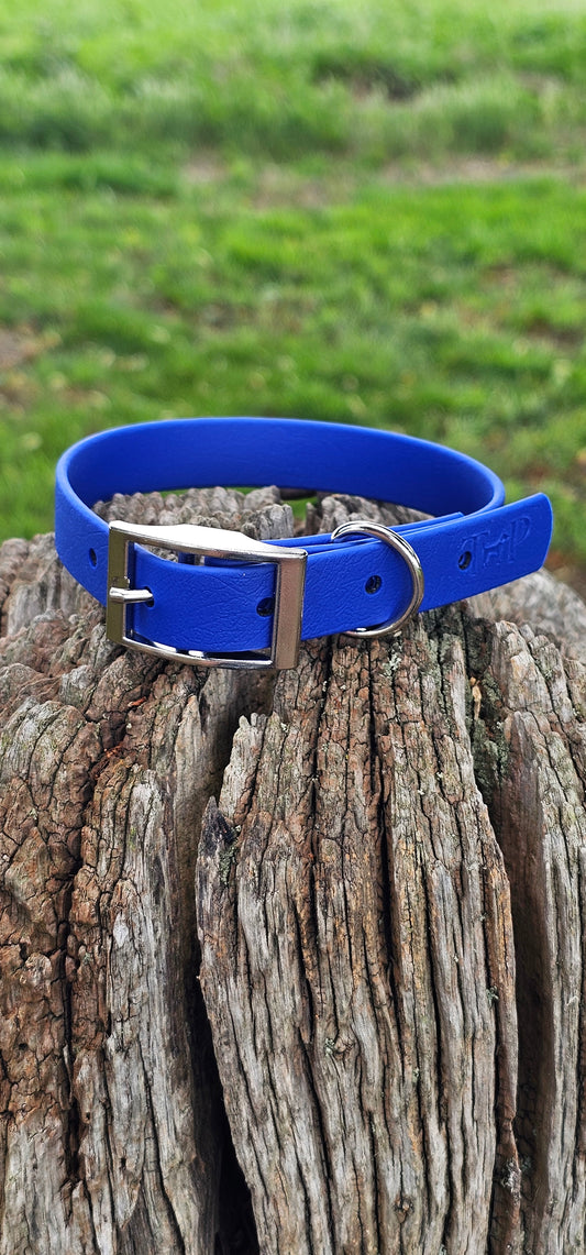 Royal Blue - Waterproof BioThane© Dog Collar