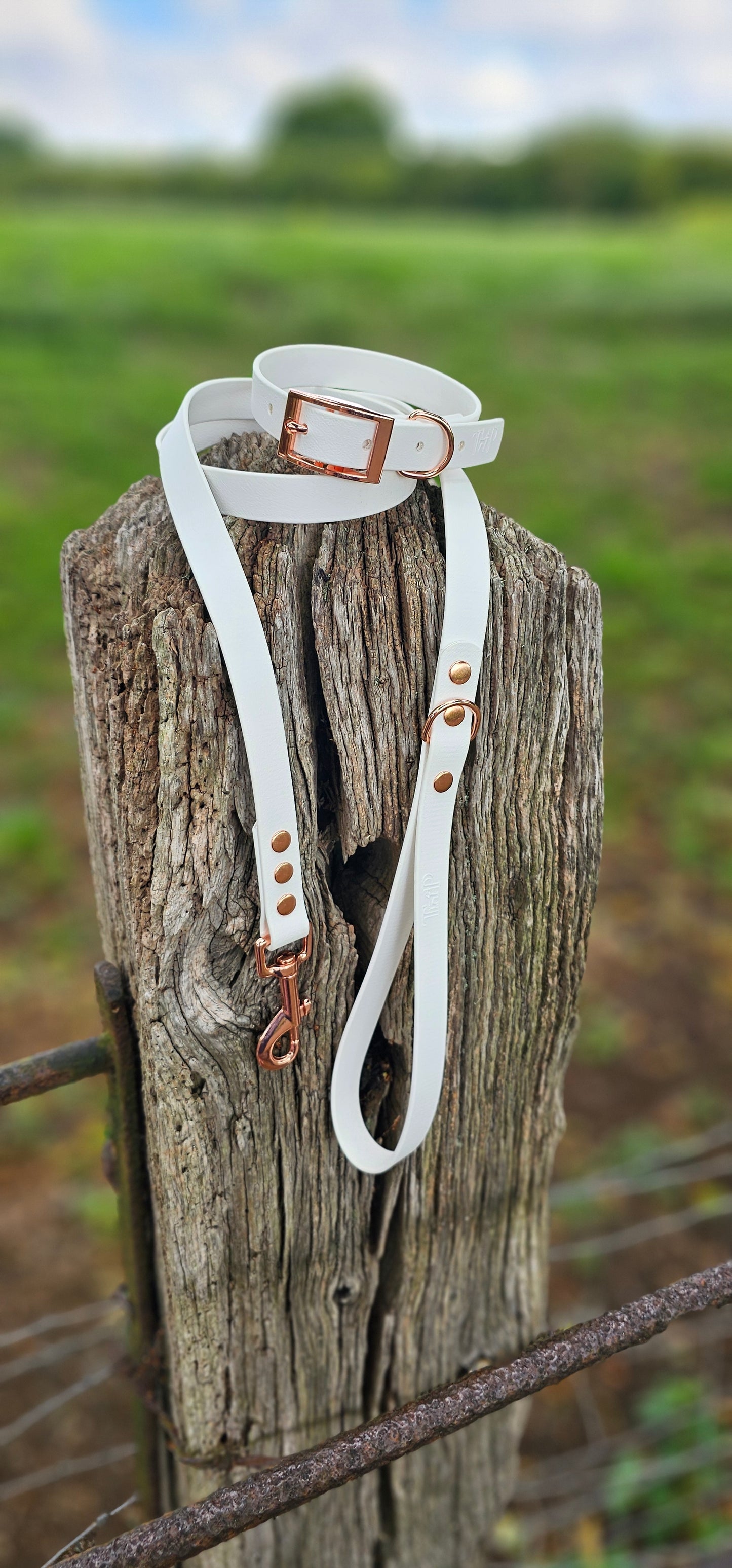 White - Waterproof BioThane© Dog Collar