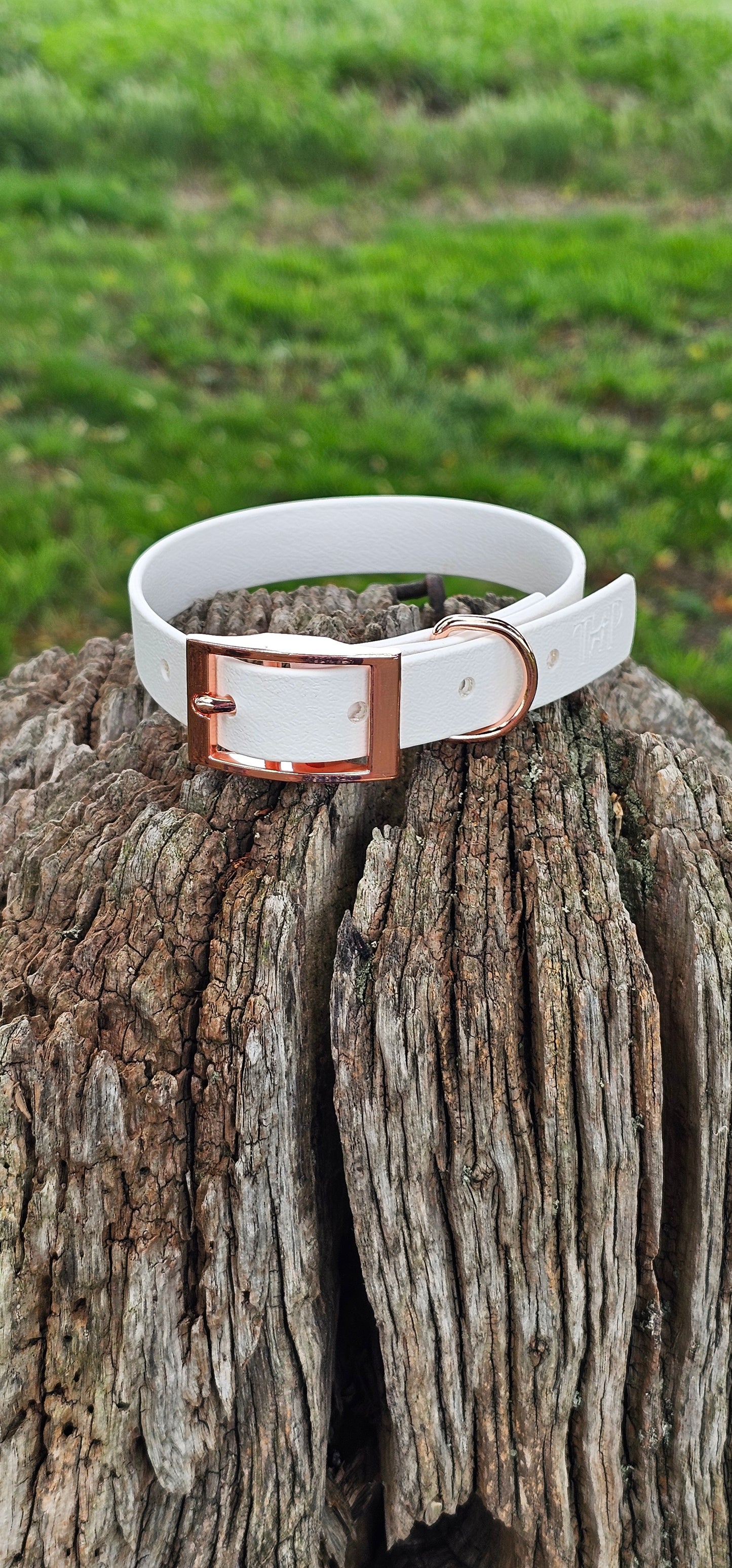 White - Waterproof BioThane© Dog Collar