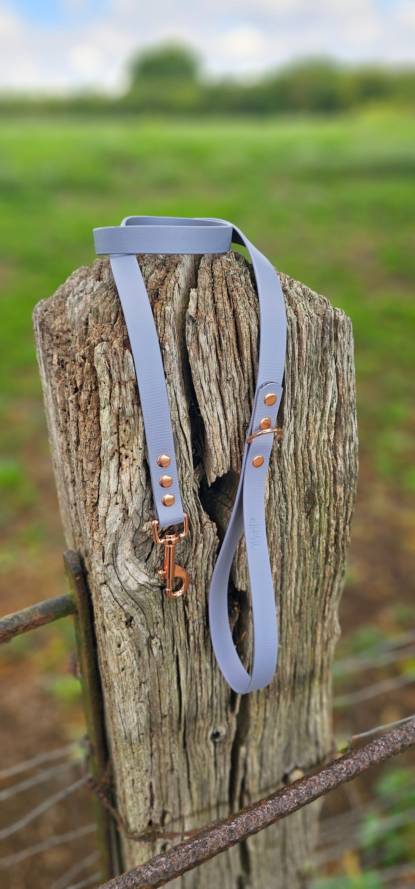 Grey - Waterproof BioThane© Dog Lead