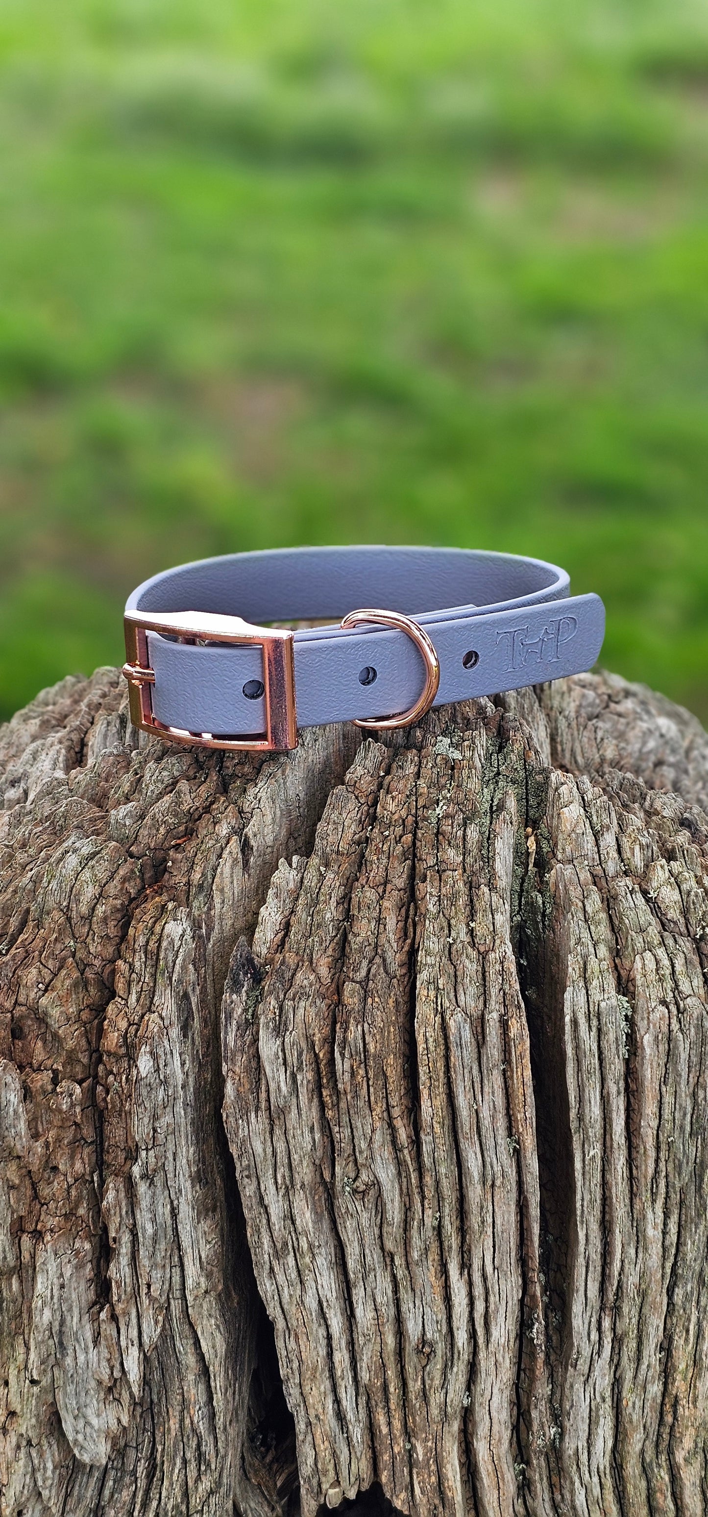 Grey - Waterproof BioThane© Dog Collar