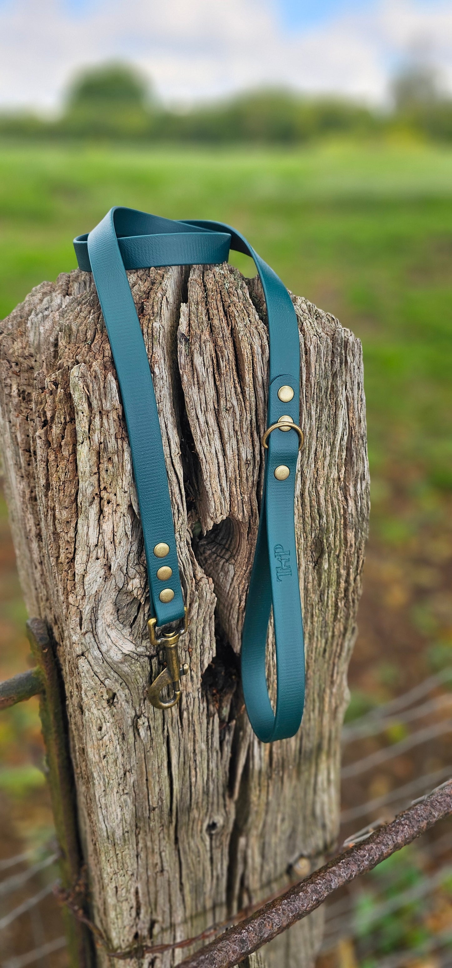 Dark Green - Waterproof BioThane© Dog Lead