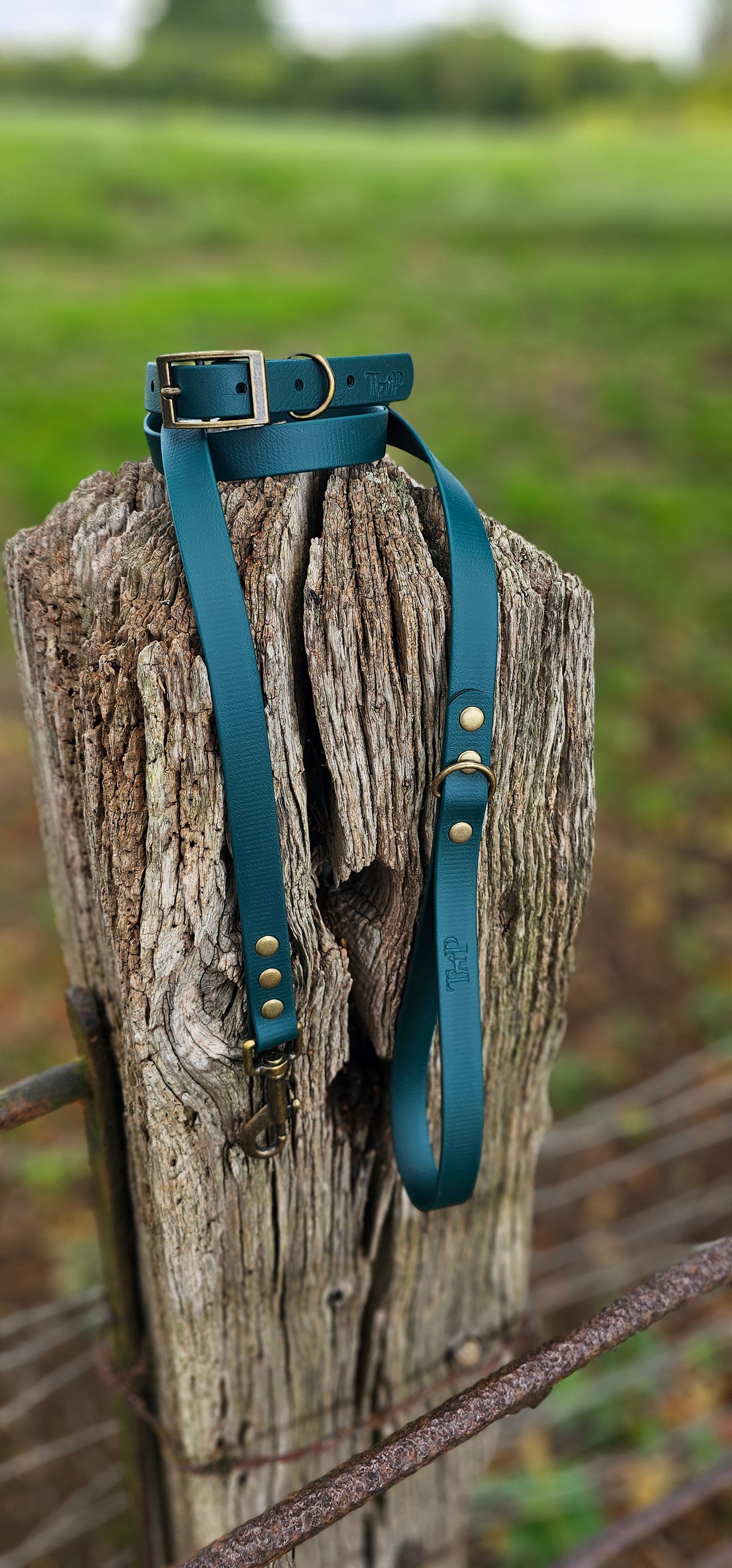 Dark Green - Waterproof BioThane© Dog Collar