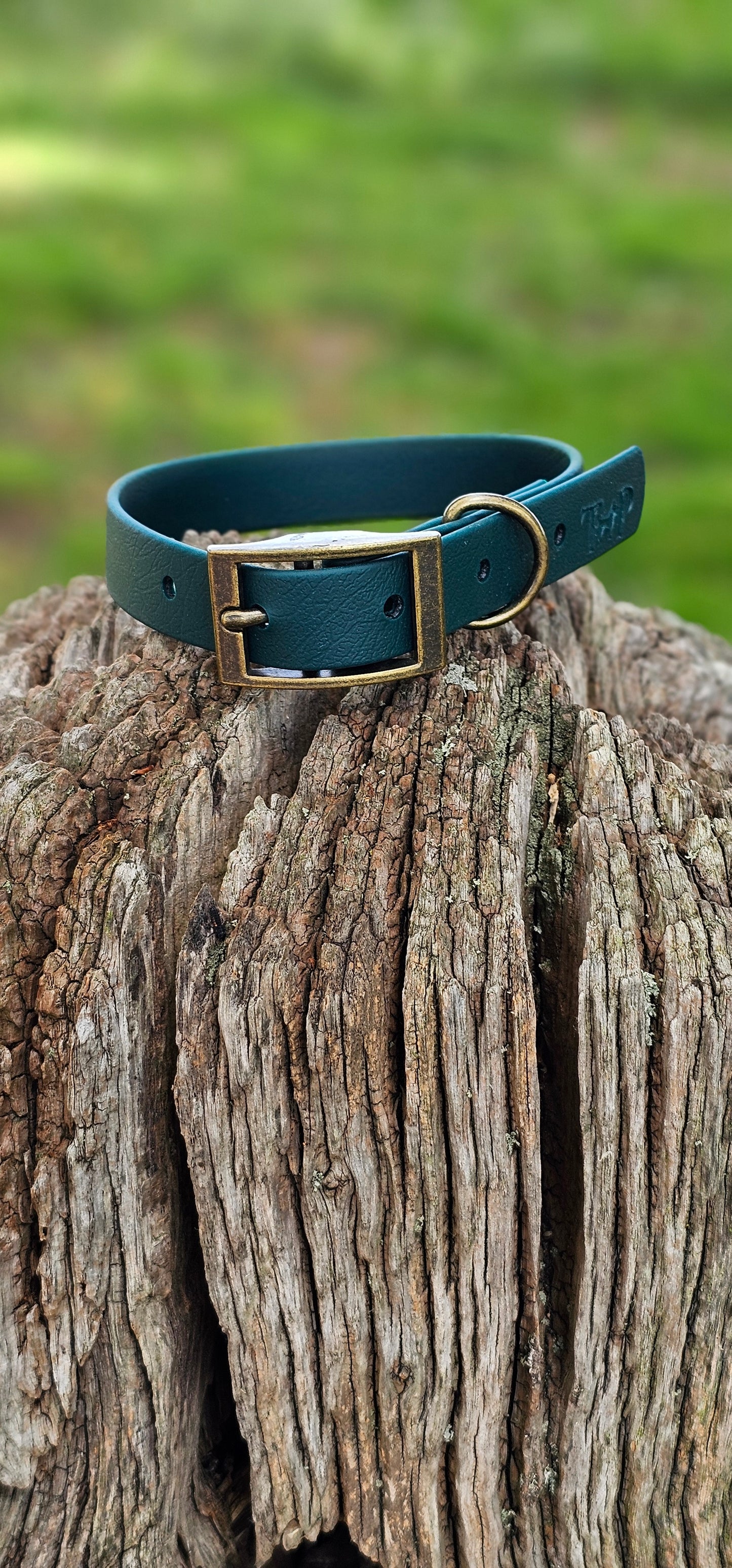 Dark Green - Waterproof BioThane© Dog Collar