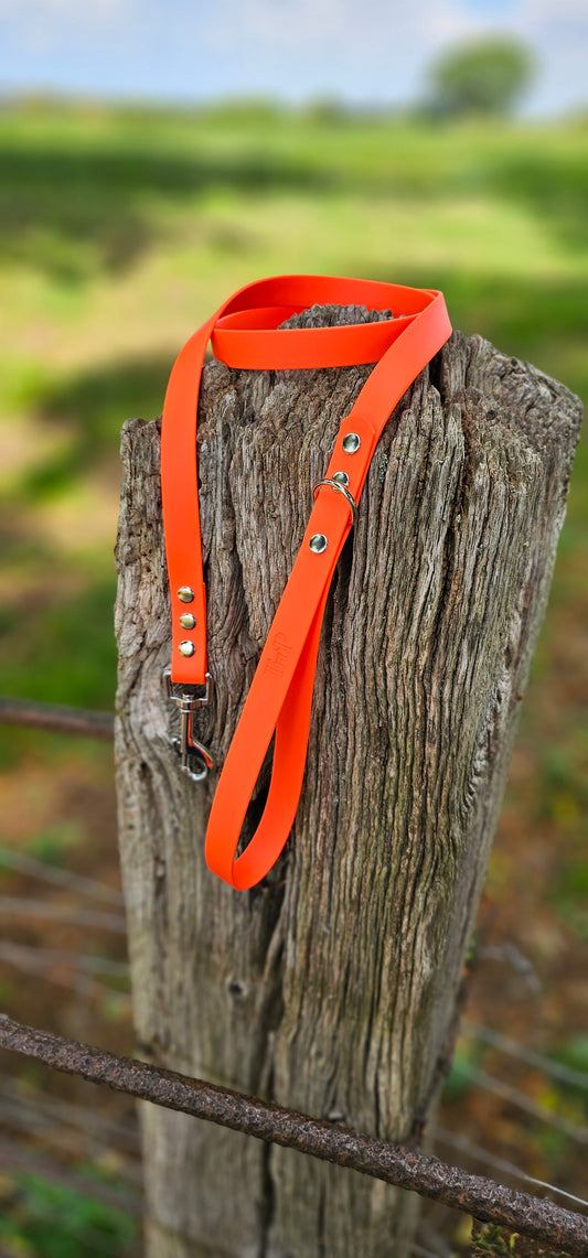 Neon Orange - Waterproof BioThane© Dog Lead