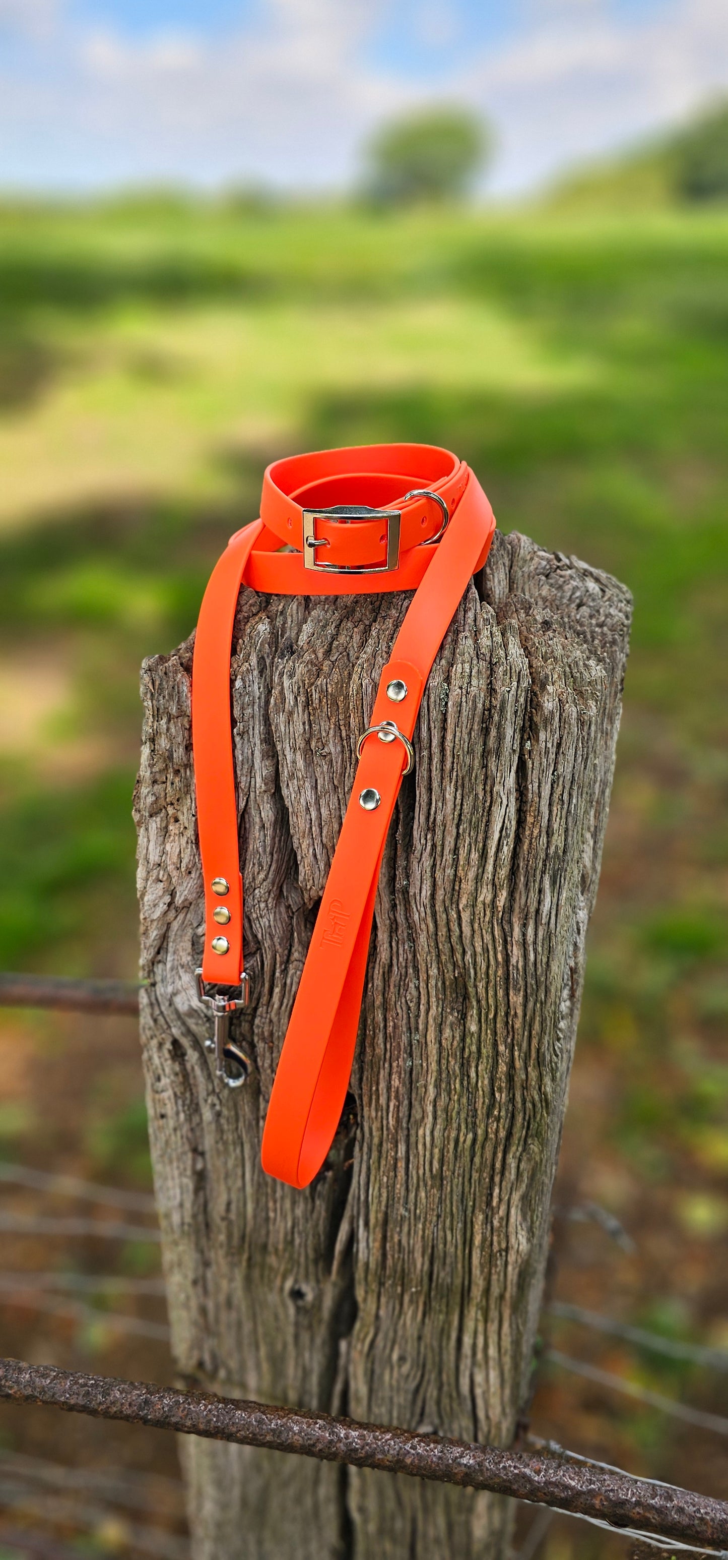 Neon Orange - Waterproof BioThane© Dog Lead