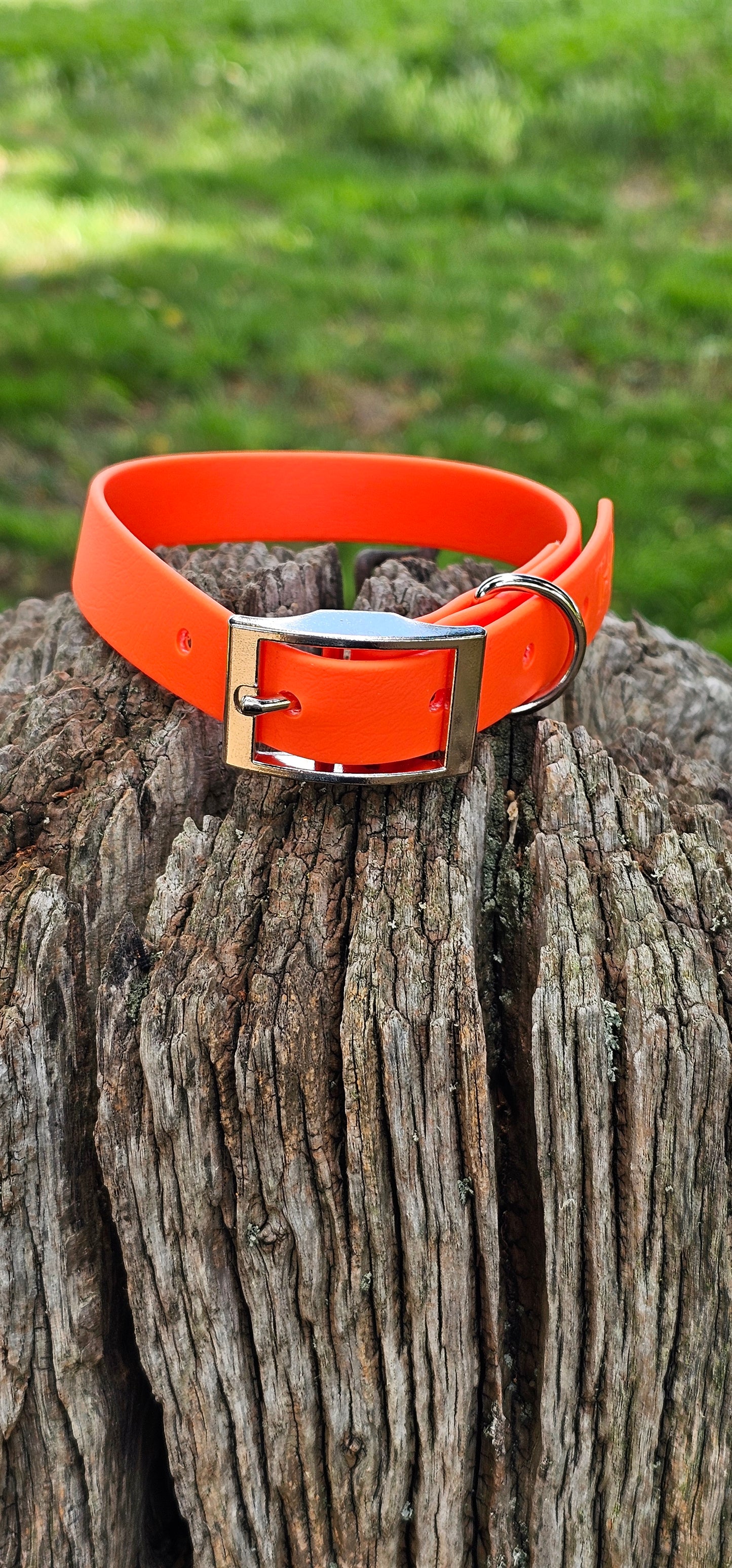 Neon Orange - Waterproof BioThane© Dog Collar