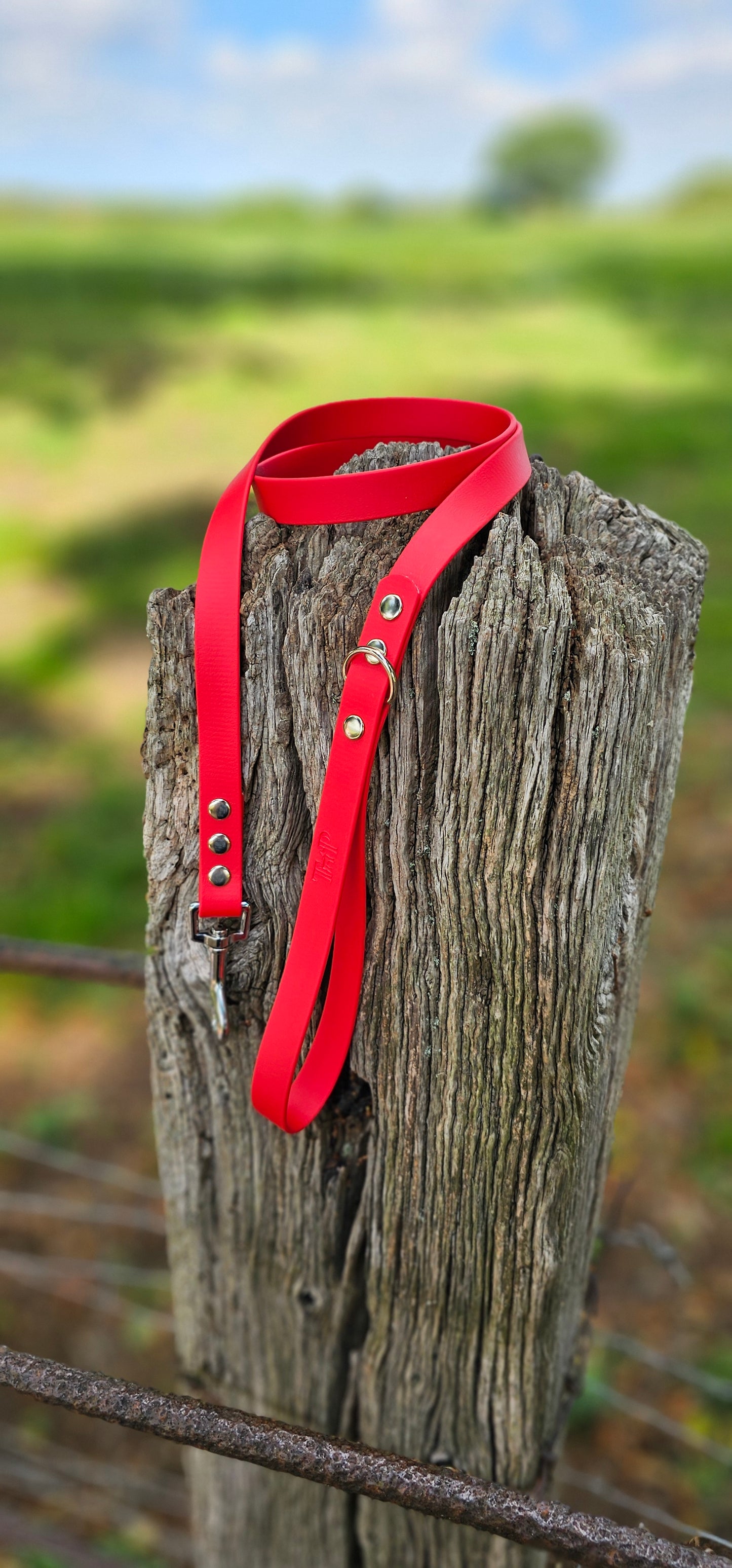 Red - Waterproof BioThane© Dog Lead