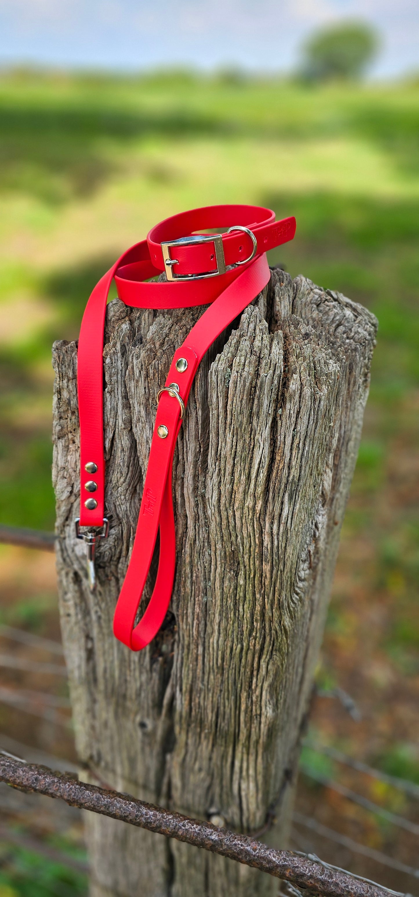 Red - Waterproof BioThane© Dog Collar
