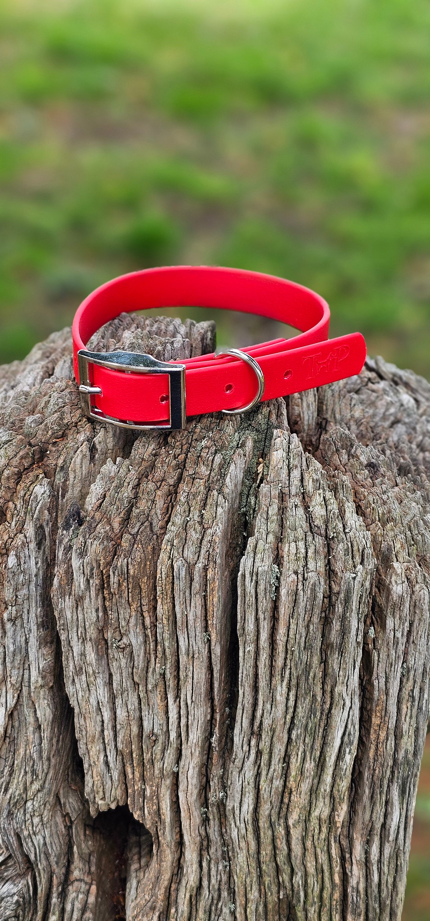 Red - Waterproof BioThane© Dog Collar
