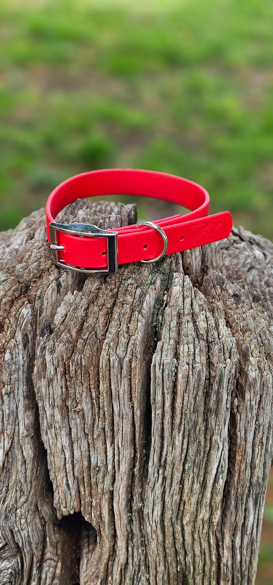 Red - Waterproof BioThane© Dog Collar