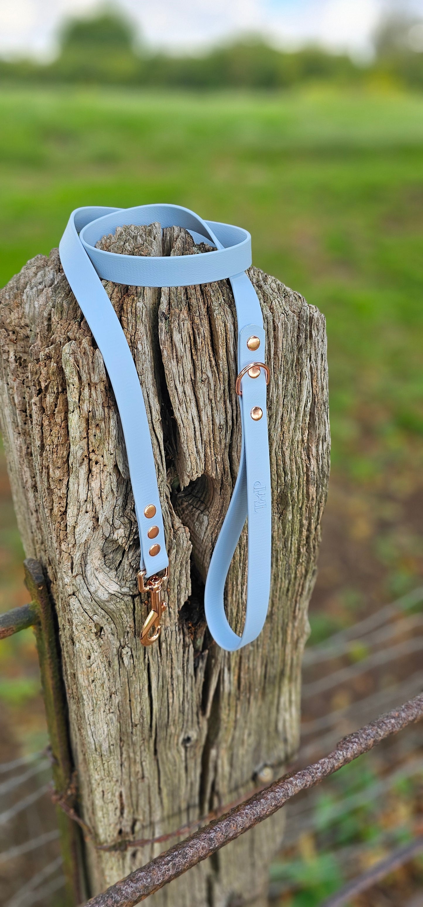 Baby Blue - Waterproof BioThane© Dog Lead