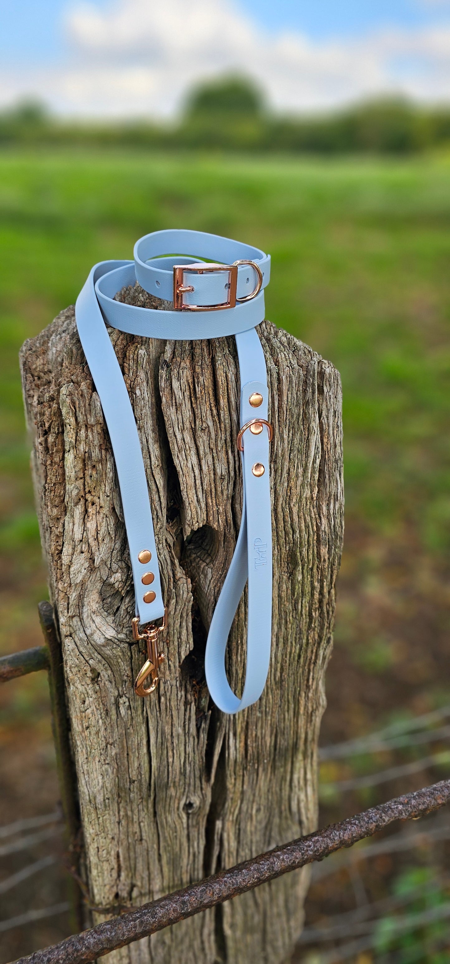 Baby Blue - Waterproof BioThane© Dog Collar