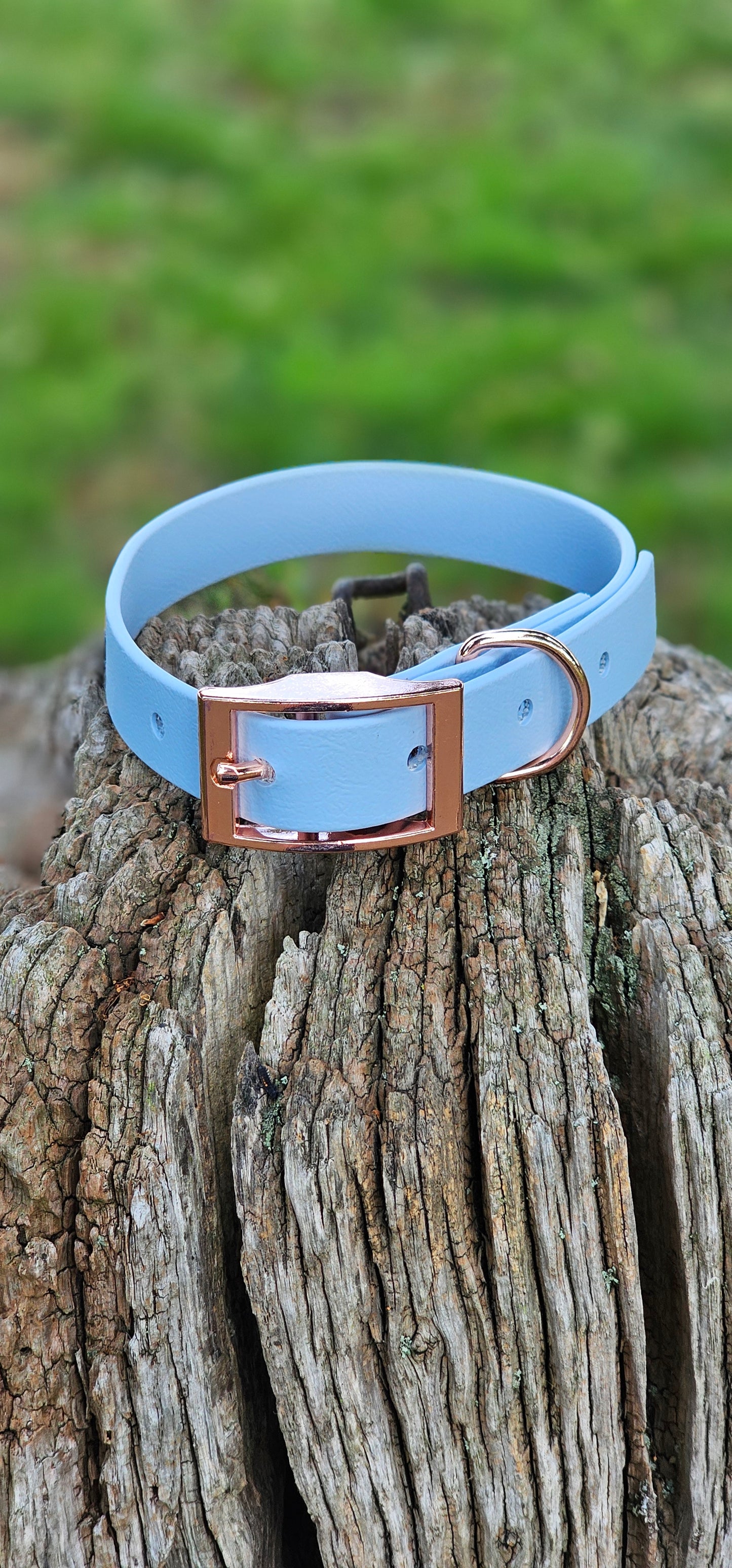 Baby Blue - Waterproof BioThane© Dog Collar