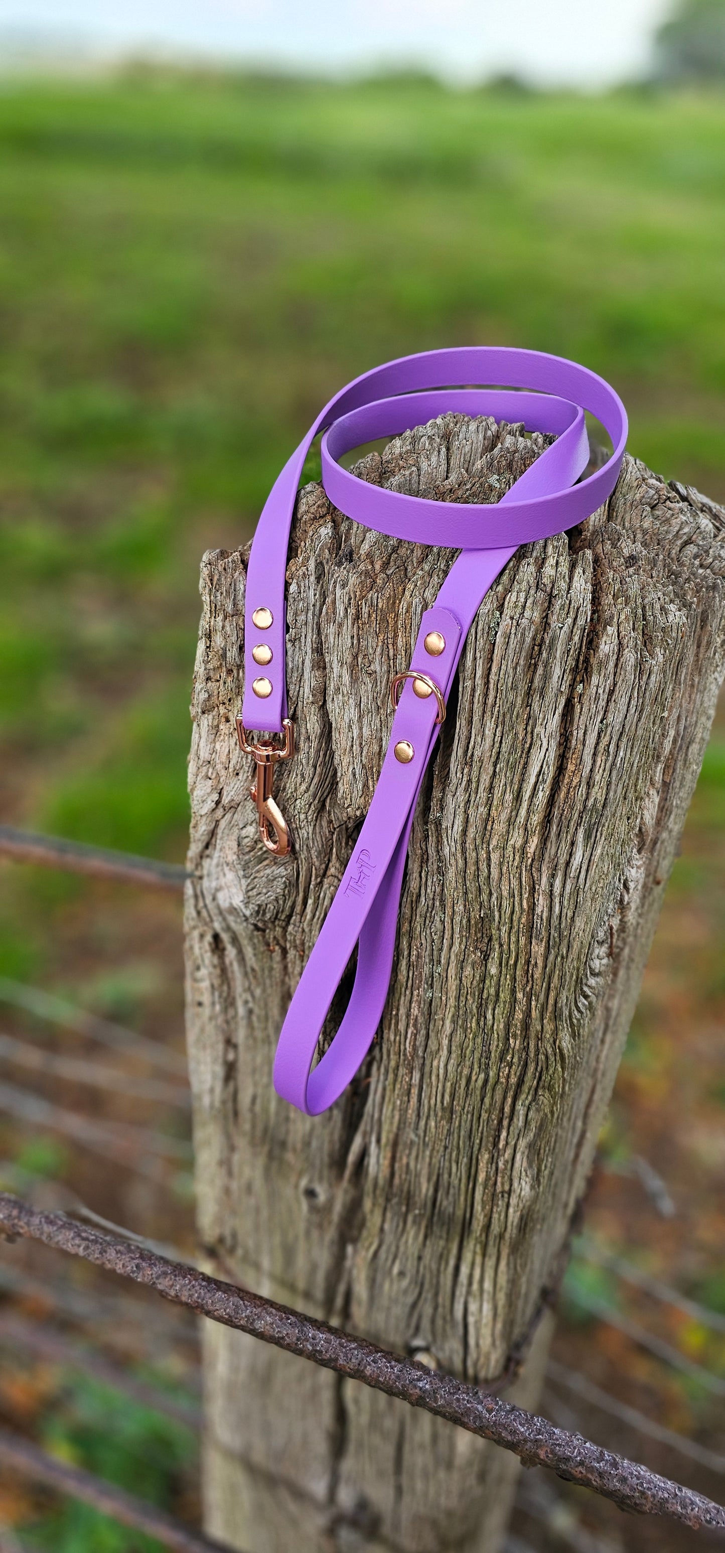 Amethyst - Waterproof BioThane© Dog Lead