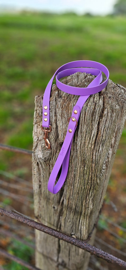 Amethyst - Waterproof BioThane© Dog Lead