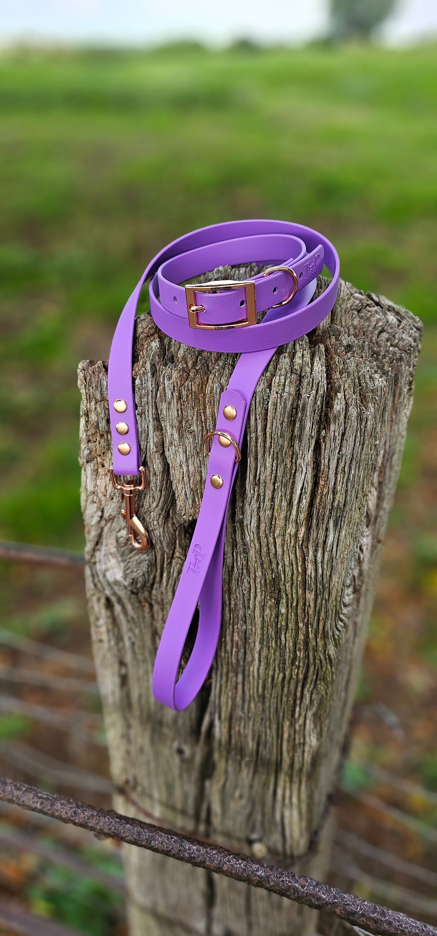 Amethyst - Waterproof BioThane© Dog Collar