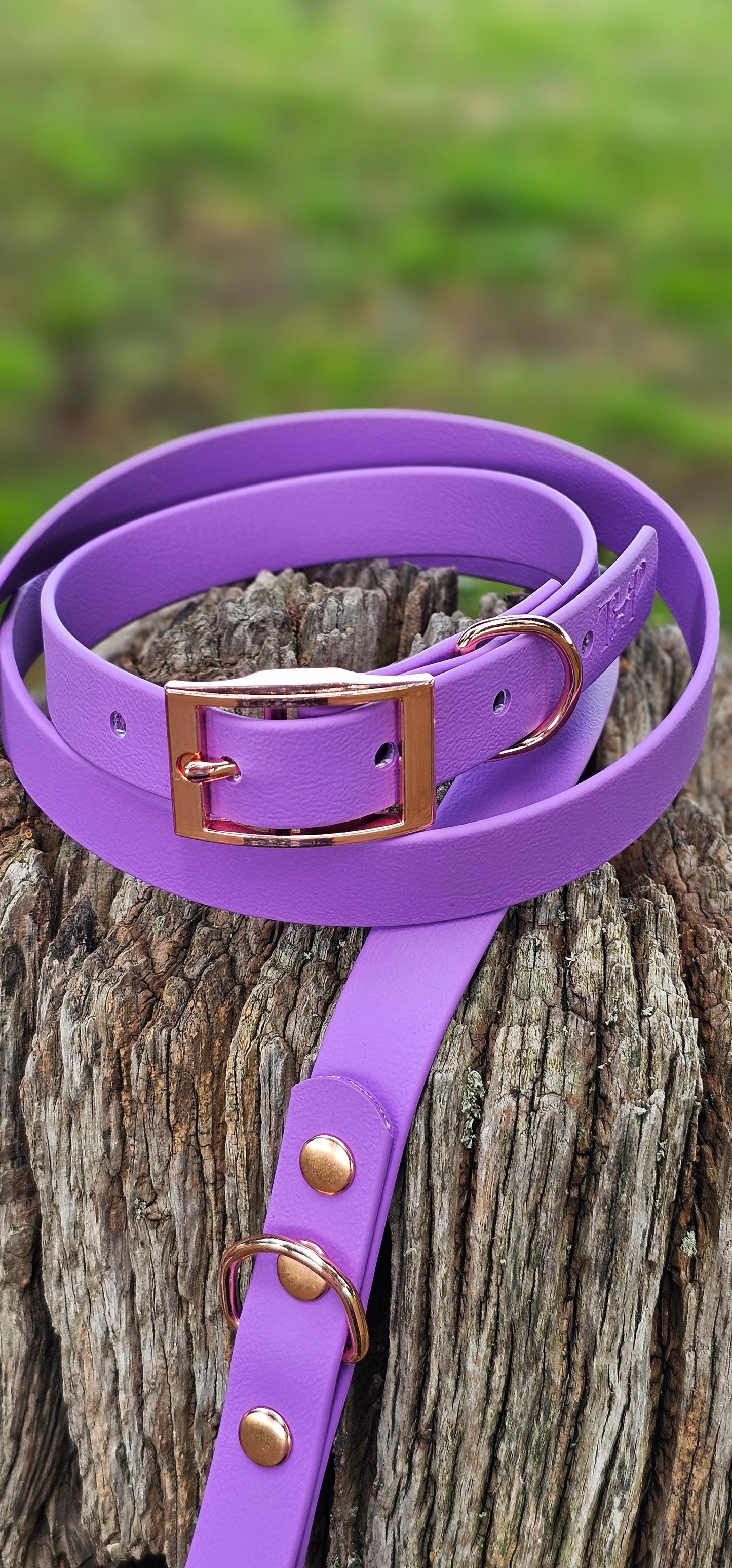Amethyst - Waterproof BioThane© Dog Collar