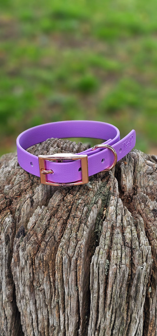 Amethyst - Waterproof BioThane© Dog Collar