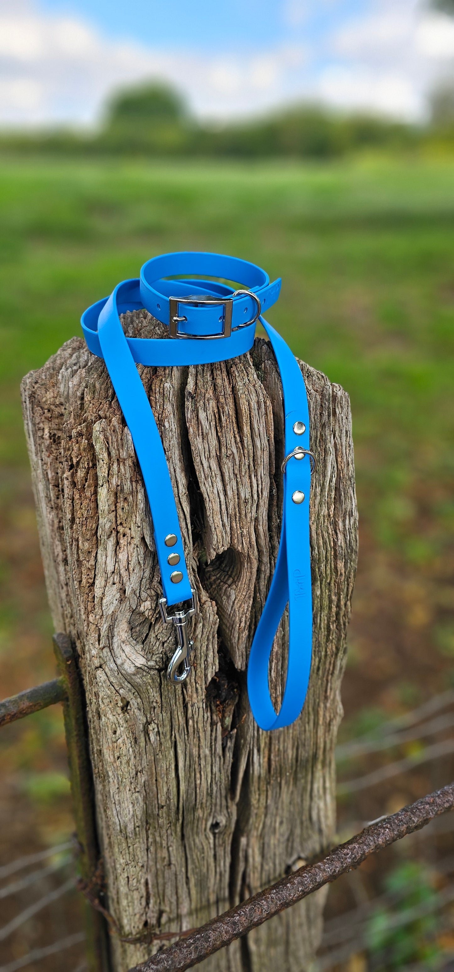 Blue - Waterproof BioThane© Dog Lead