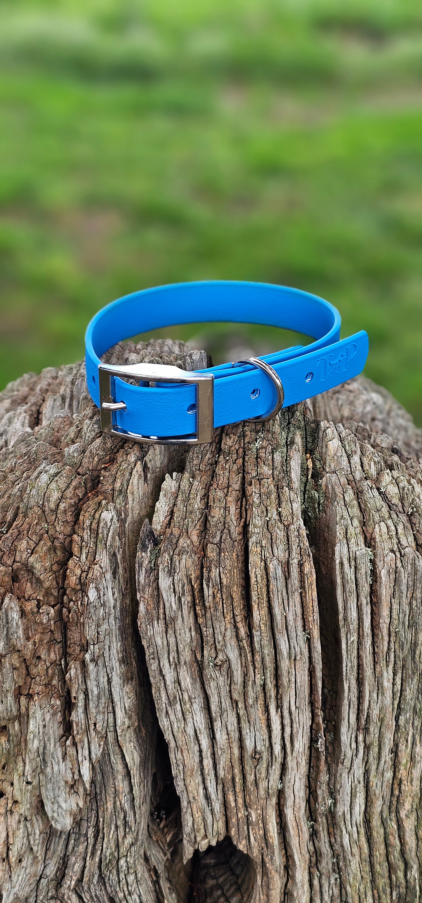 Blue - Waterproof BioThane© Dog Collar