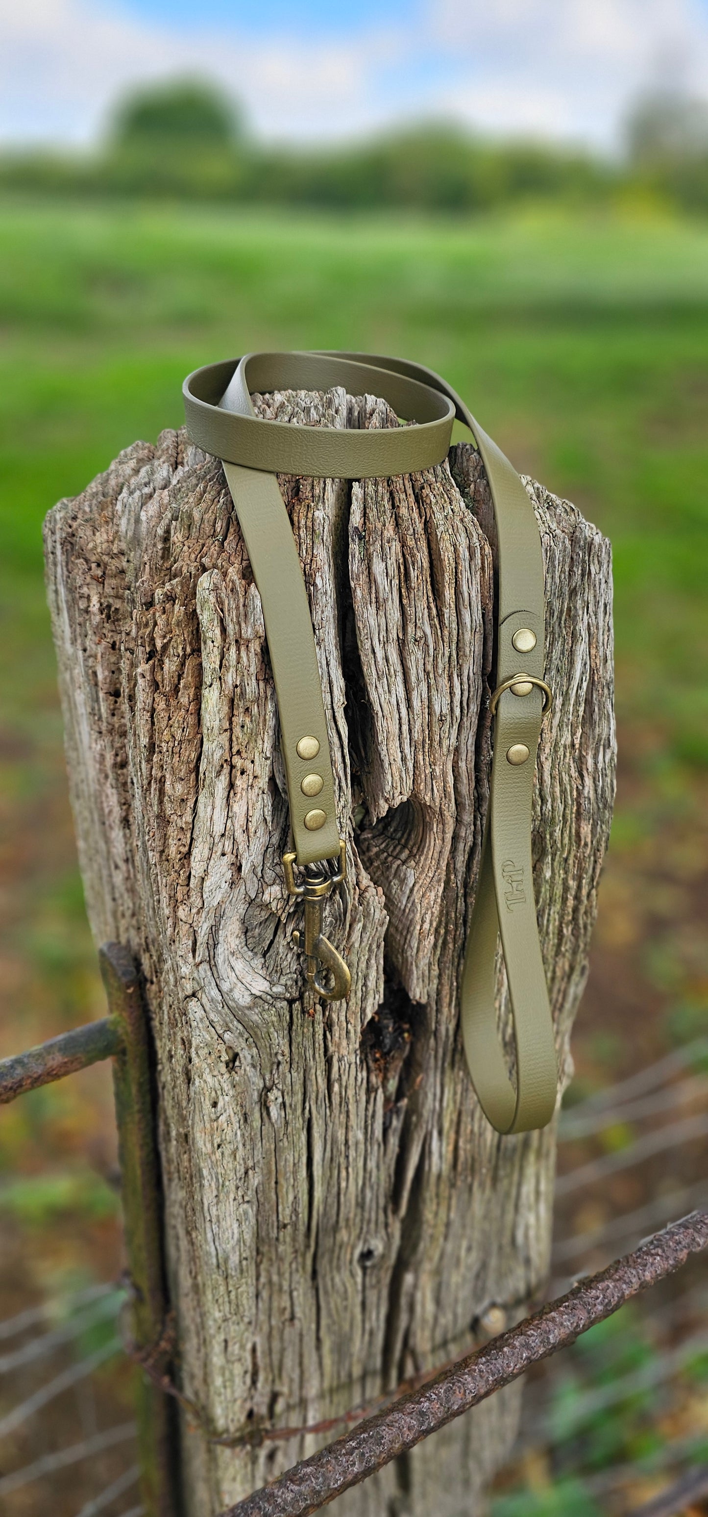 Olive - Waterproof BioThane© Dog Lead