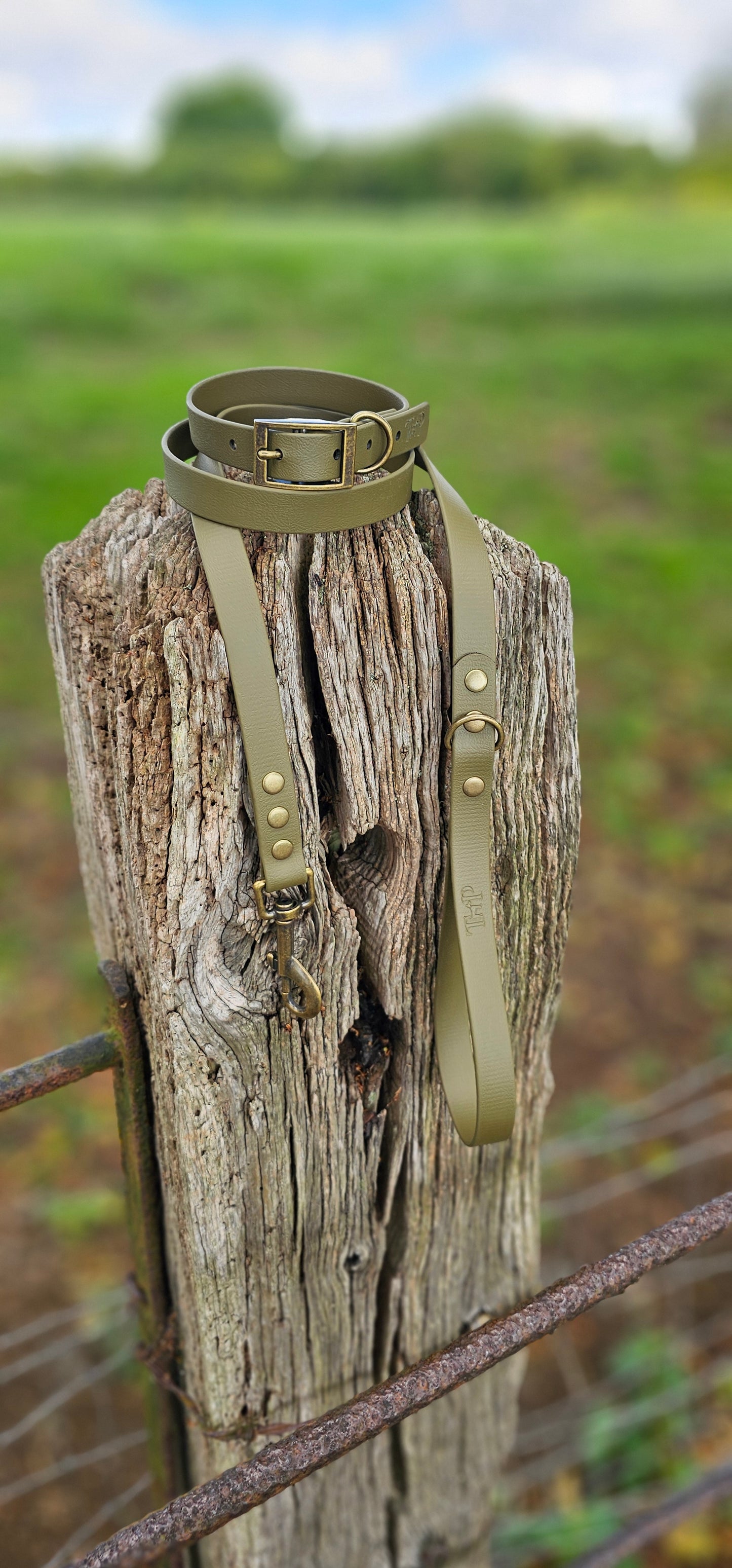 Olive - Waterproof BioThane© Dog Lead