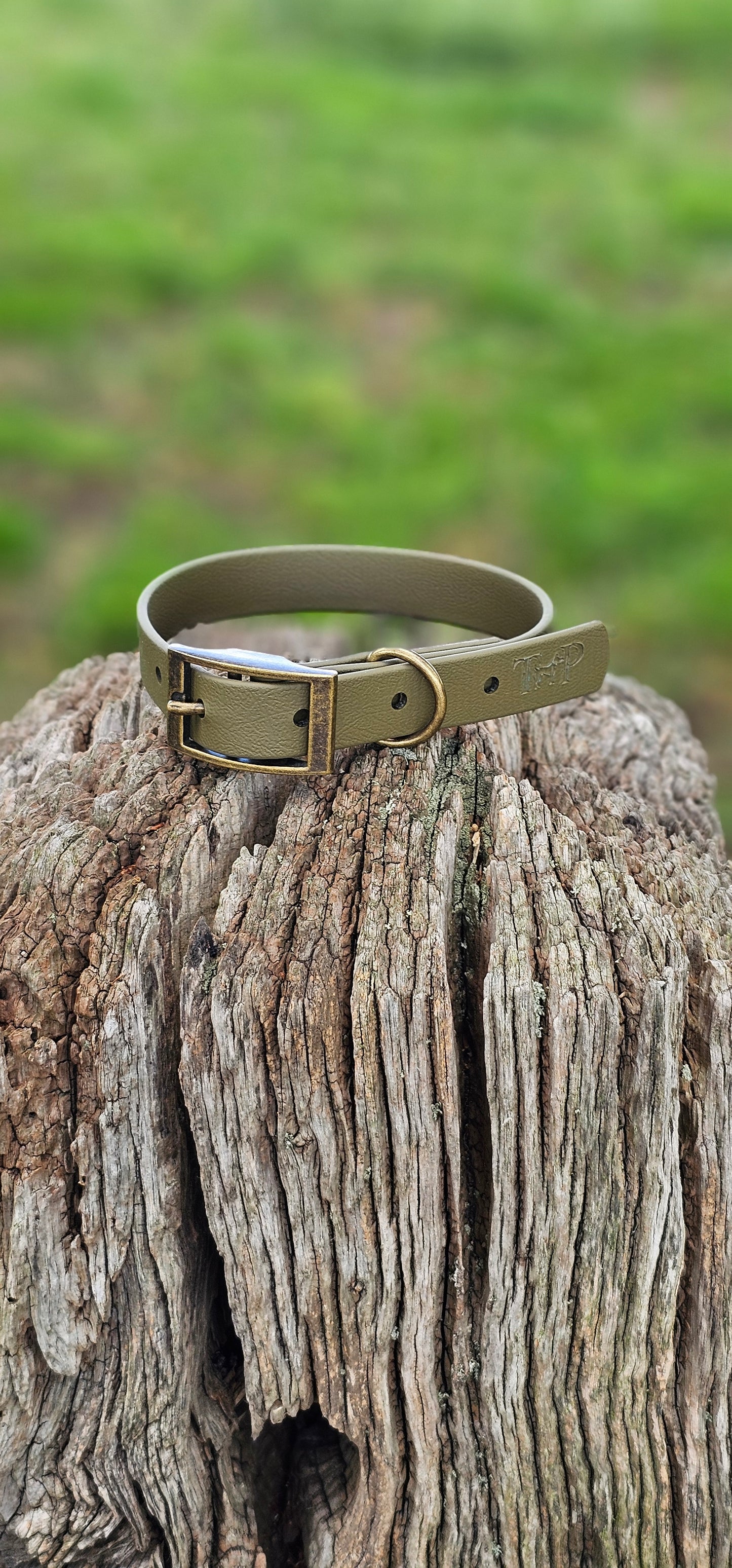 Olive - Waterproof BioThane© Dog Collar