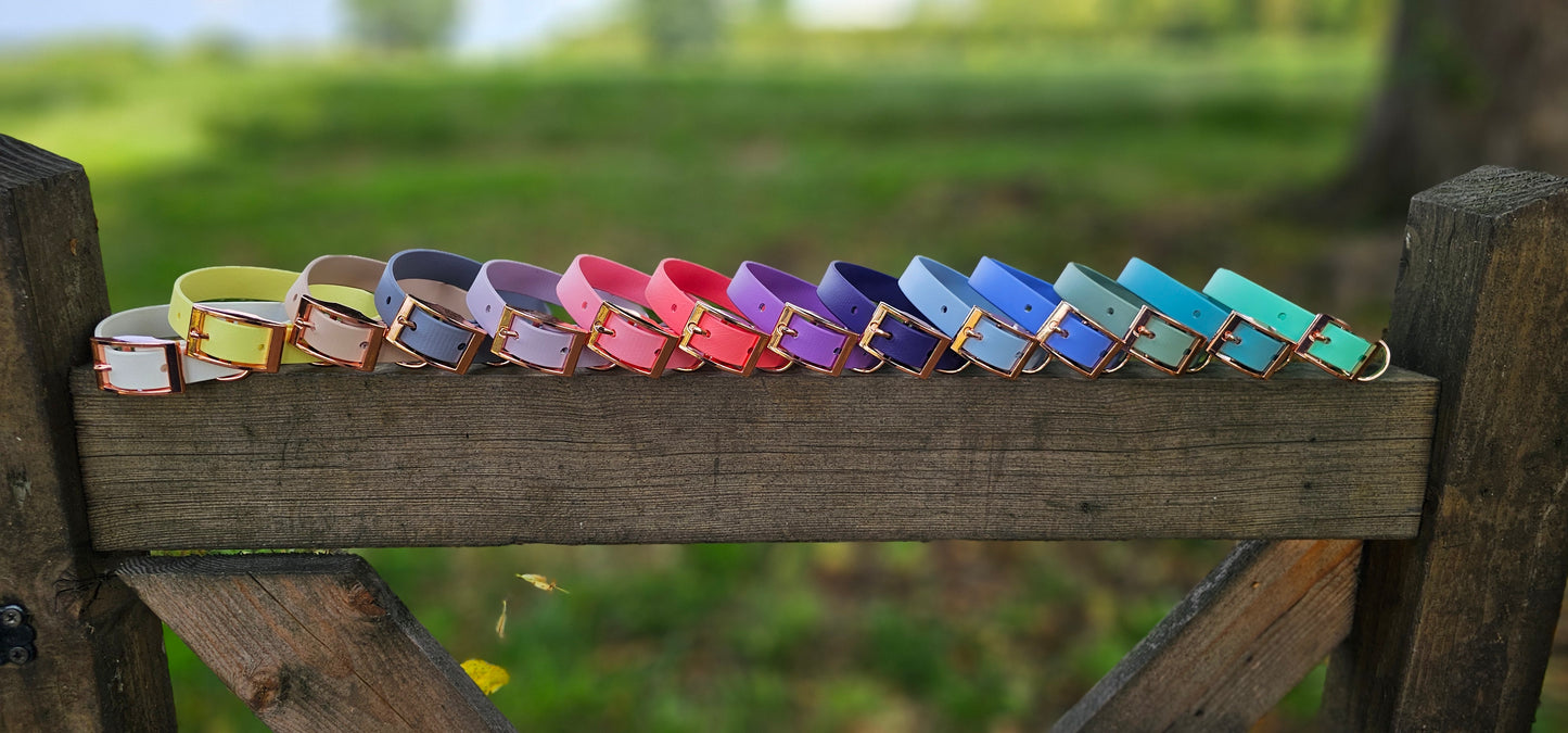 Waterproof BioThane© Dog Collar - Design Your Own