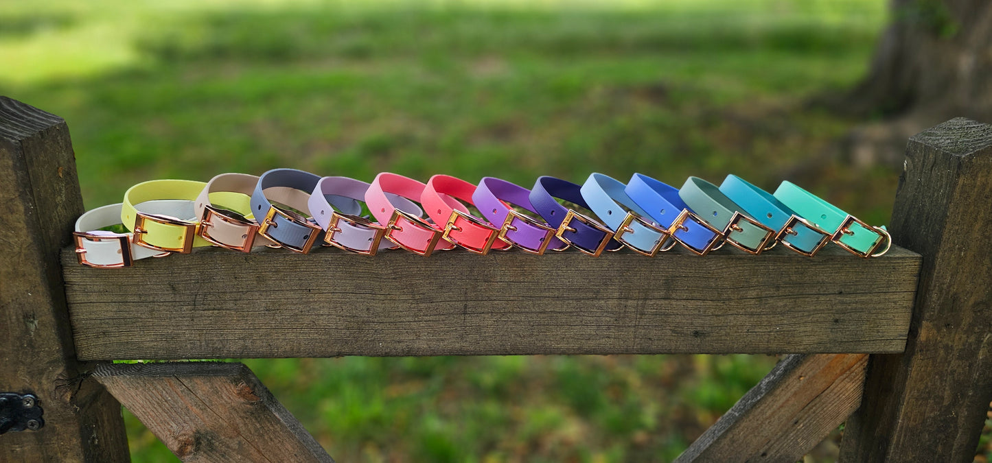 Mystery - Waterproof BioThane© Dog Collar
