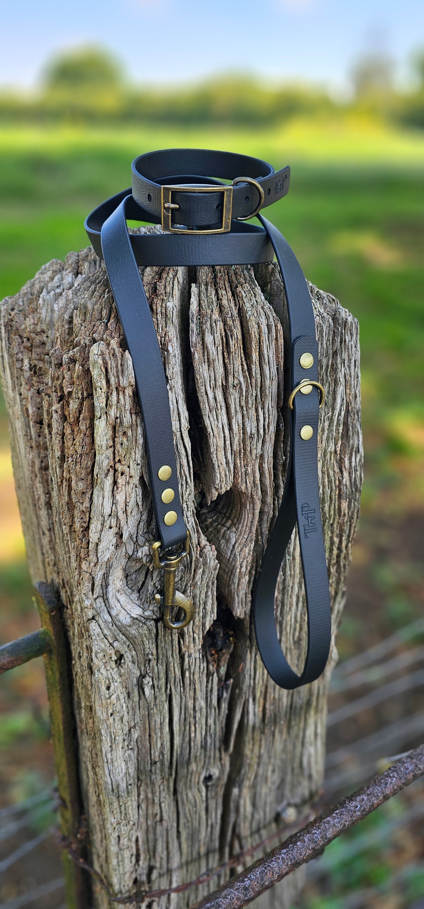 Black - Waterproof BioThane© Dog Lead