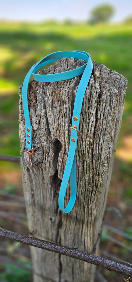 Duckegg - Waterproof BioThane© Dog Lead