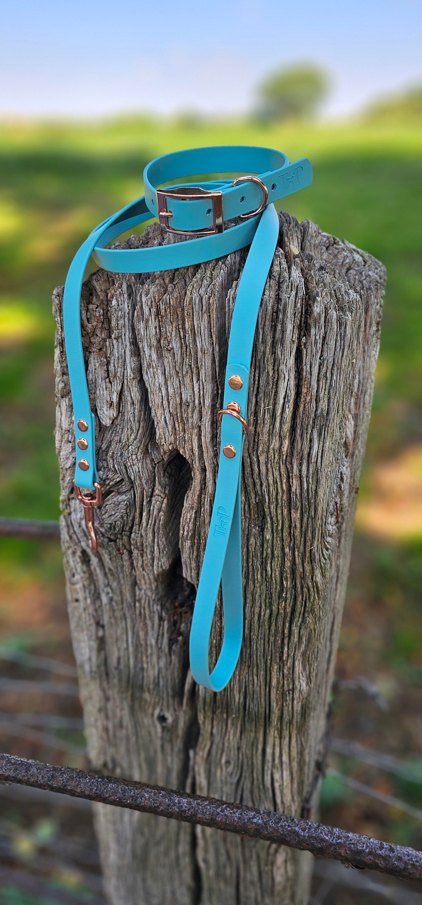 Duckegg - Waterproof BioThane© Dog Collar