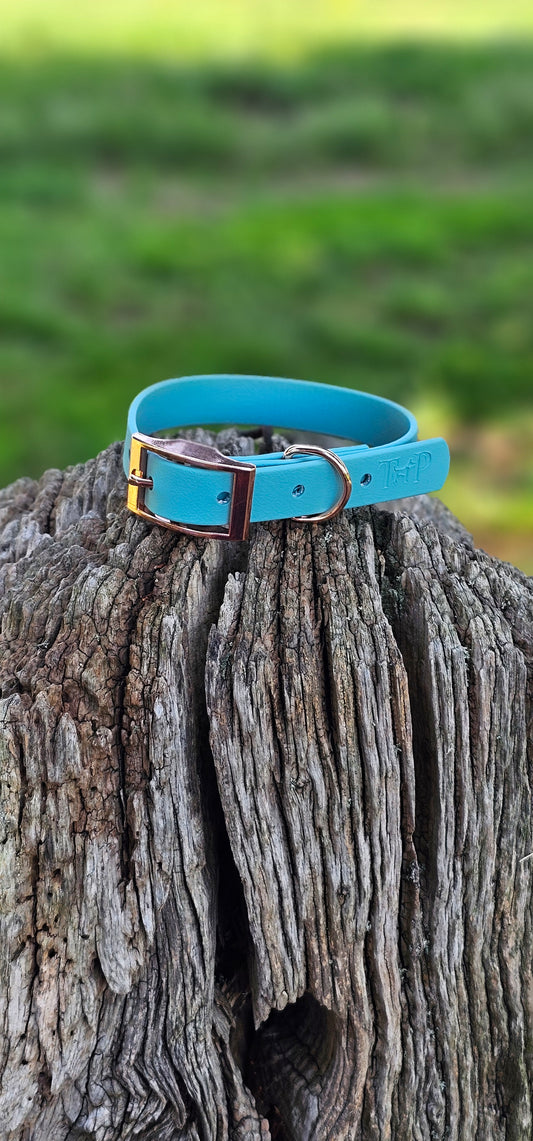 Duckegg - Waterproof BioThane© Dog Collar