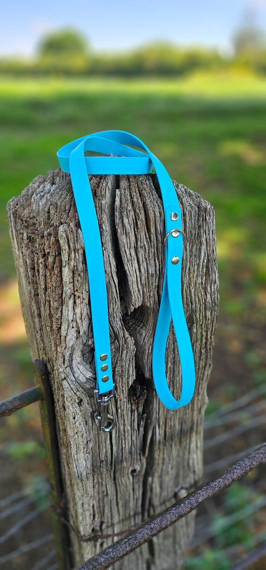 Neon Blue - Waterproof BioThane© Dog Lead