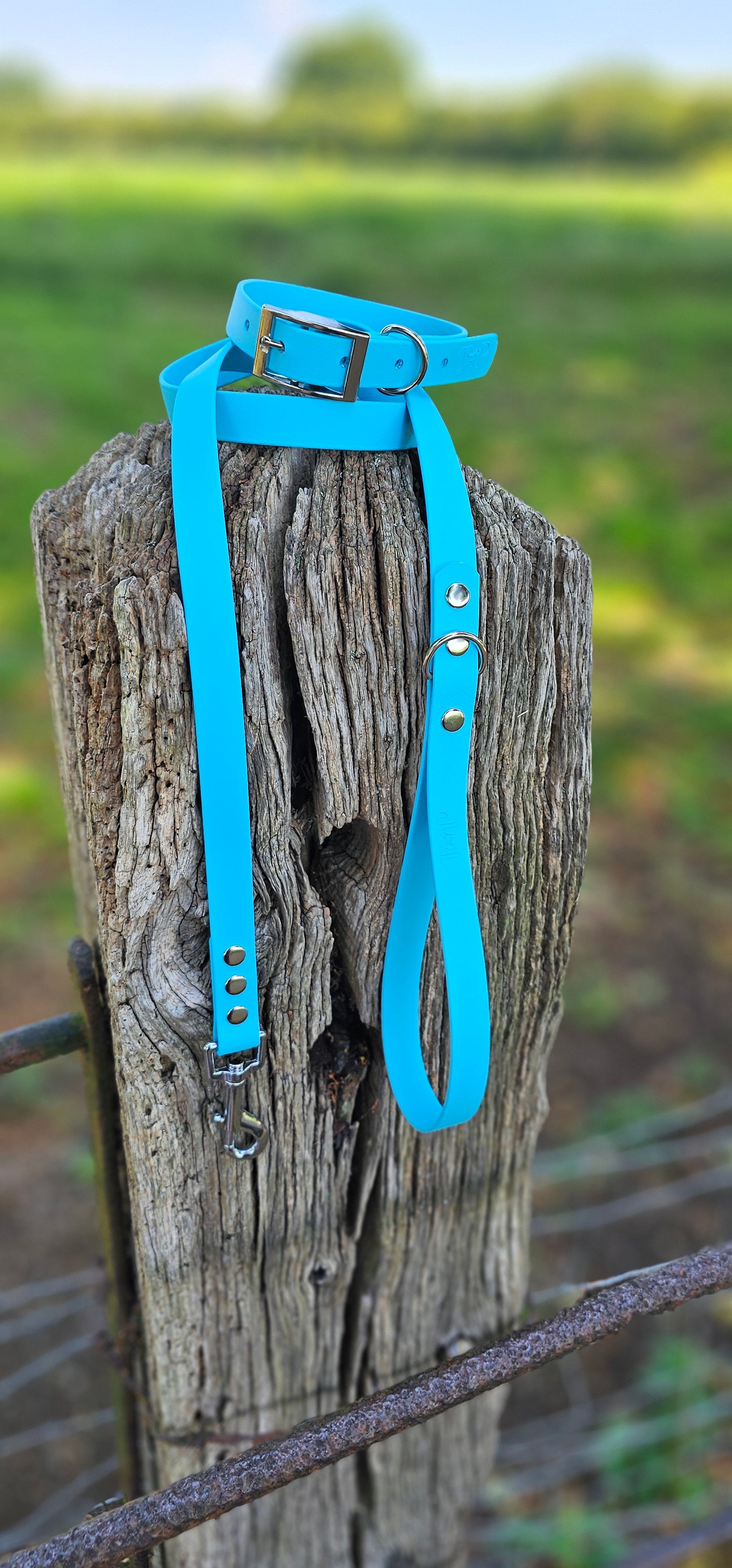 Neon Blue - Waterproof BioThane© Dog Collar