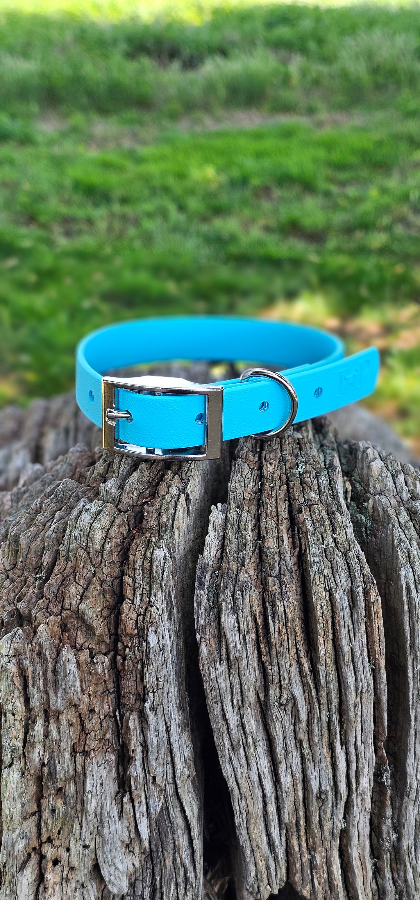Neon Blue - Waterproof BioThane© Dog Collar