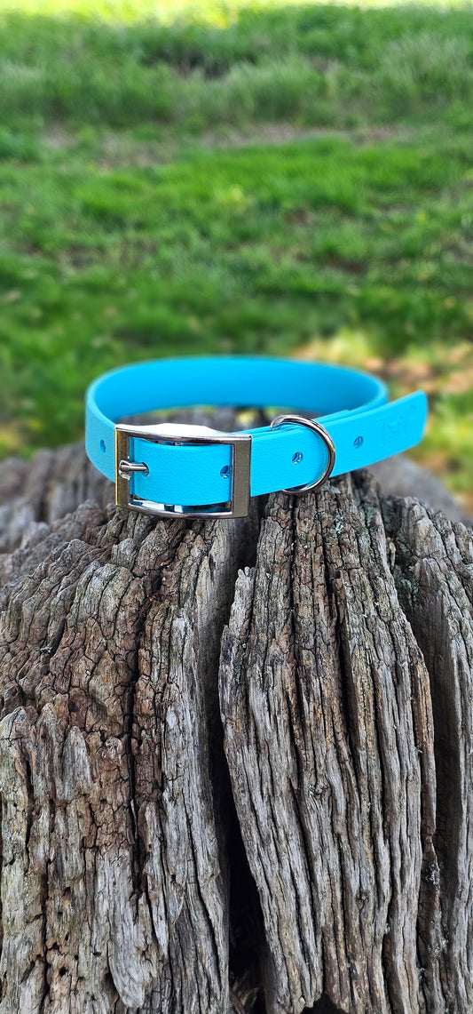 Neon Blue - Waterproof BioThane© Dog Collar