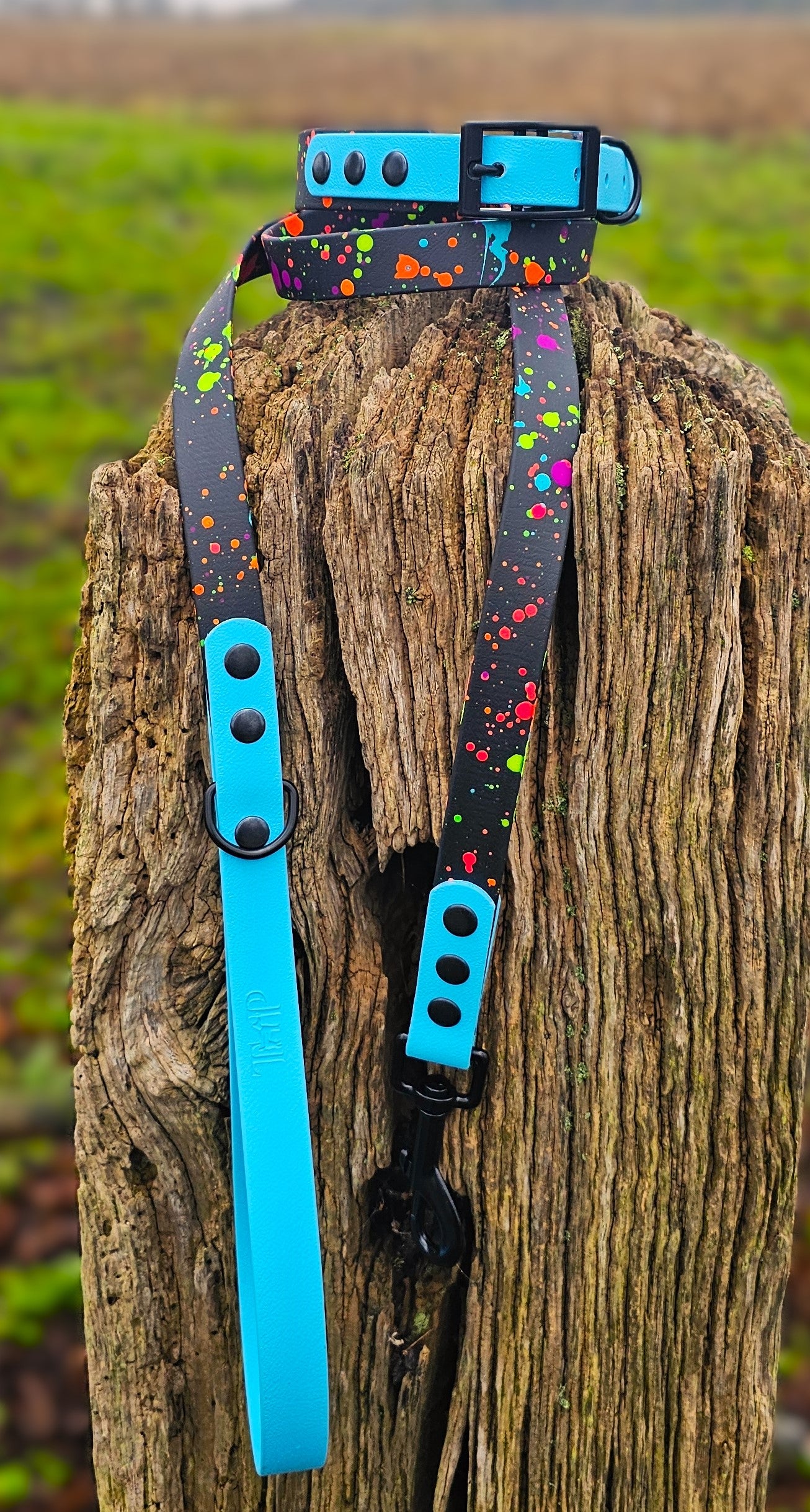 Neon Blue - Waterproof BioThane© Splatter Dog Collar - Neon Collection