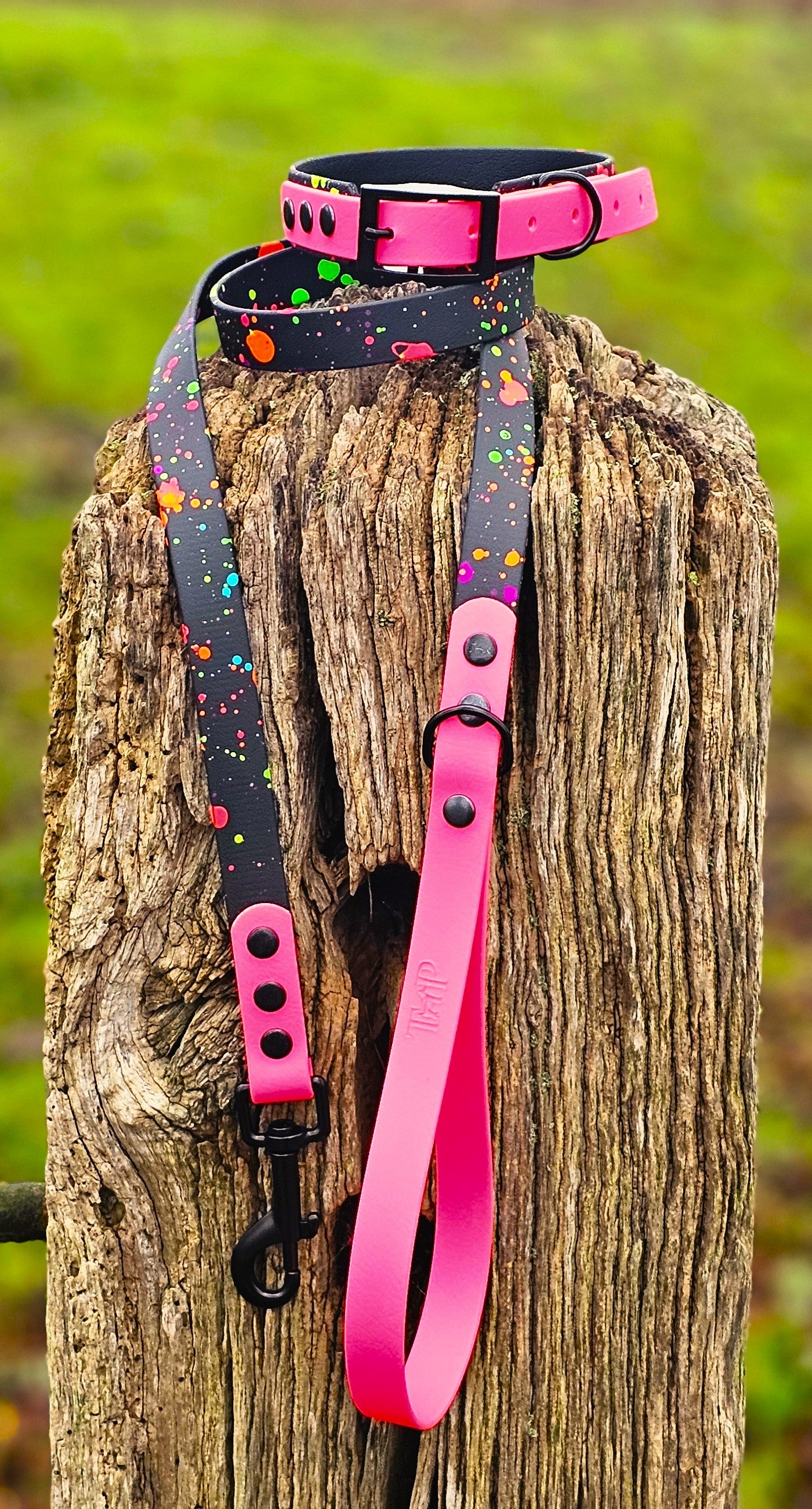 Neon Pink - Waterproof BioThane© Splatter Dog Collar - Neon Collection