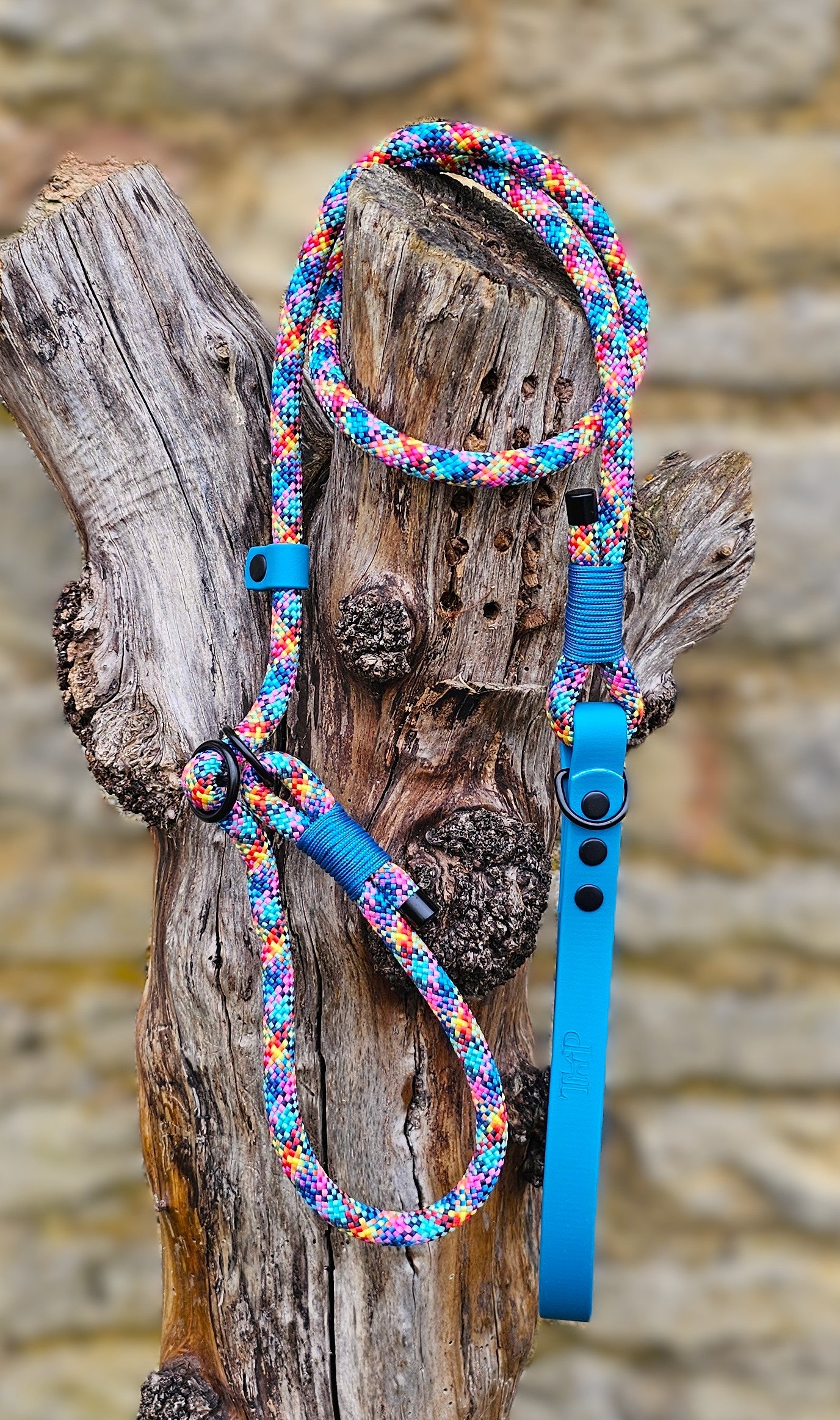 Confetti - Classic Rope Slip Lead / Figure 8 Dog Lead
