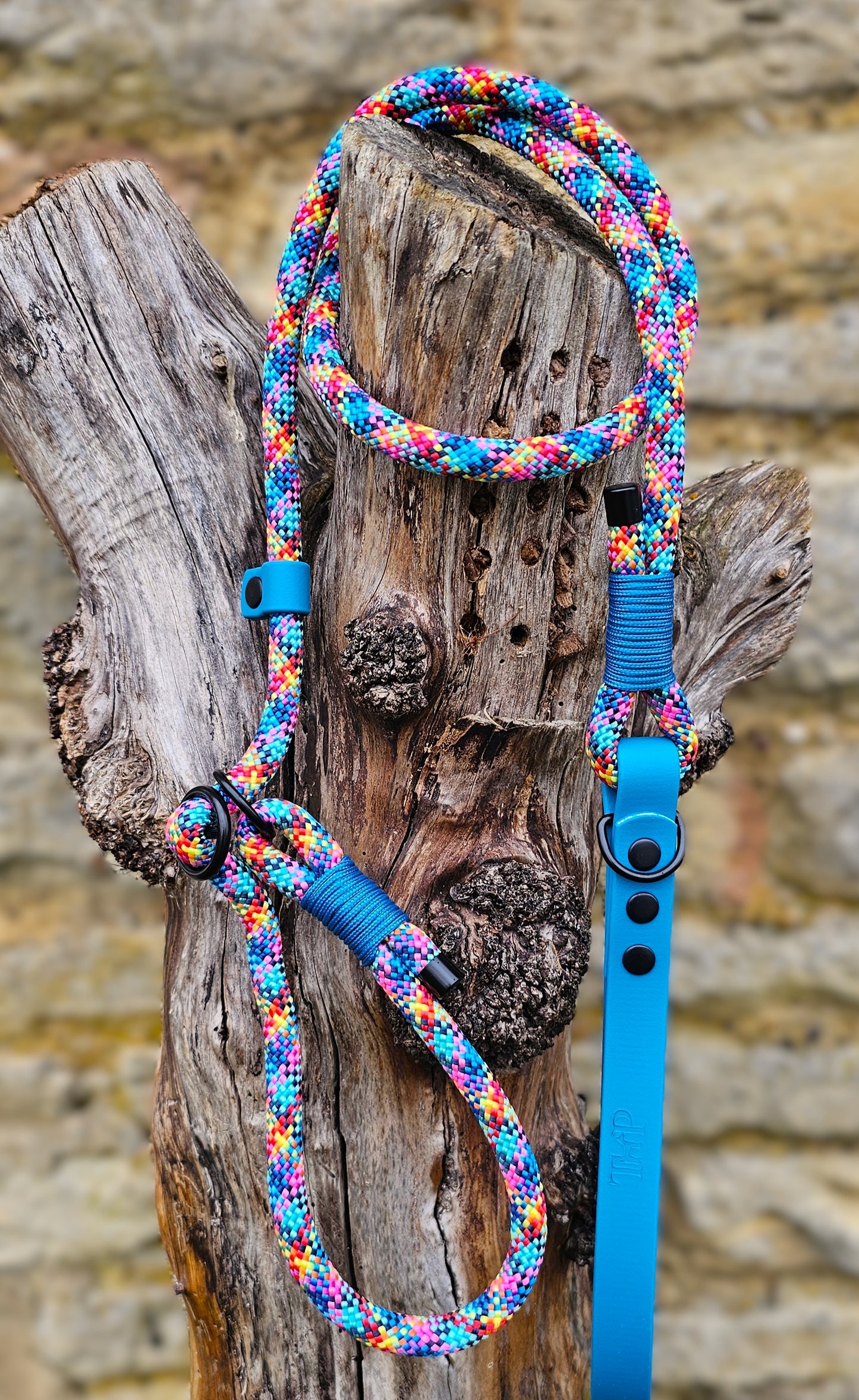 Confetti - Classic Rope Slip Lead / Figure 8 Dog Lead
