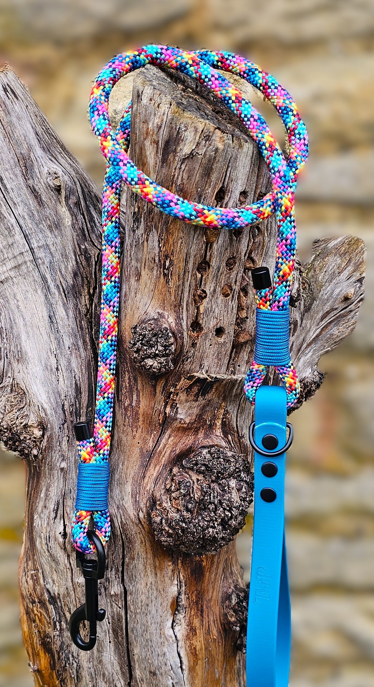 Confetti - Classic Rope Dog Lead