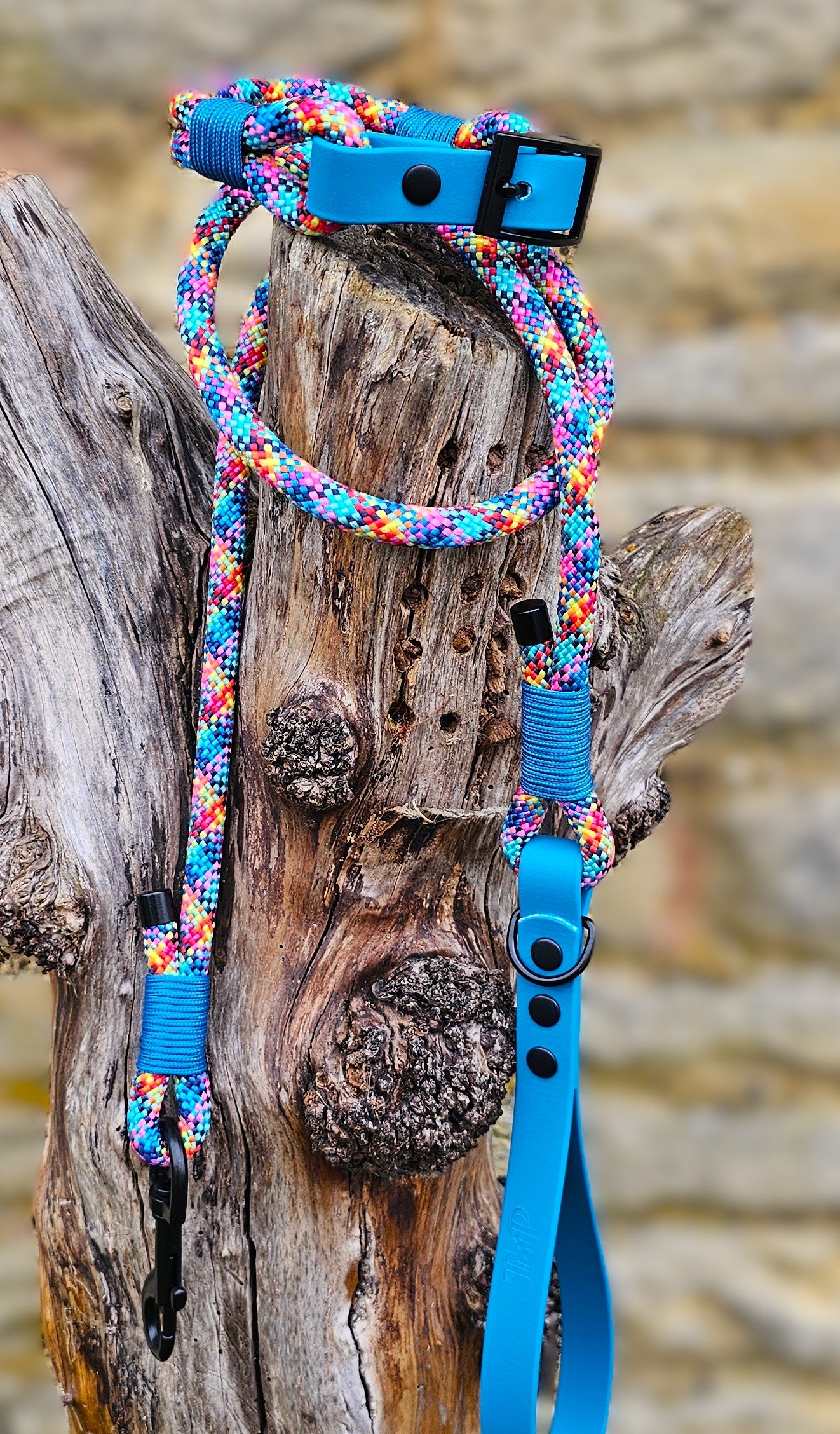 Confetti - Classic Rope Dog Collar