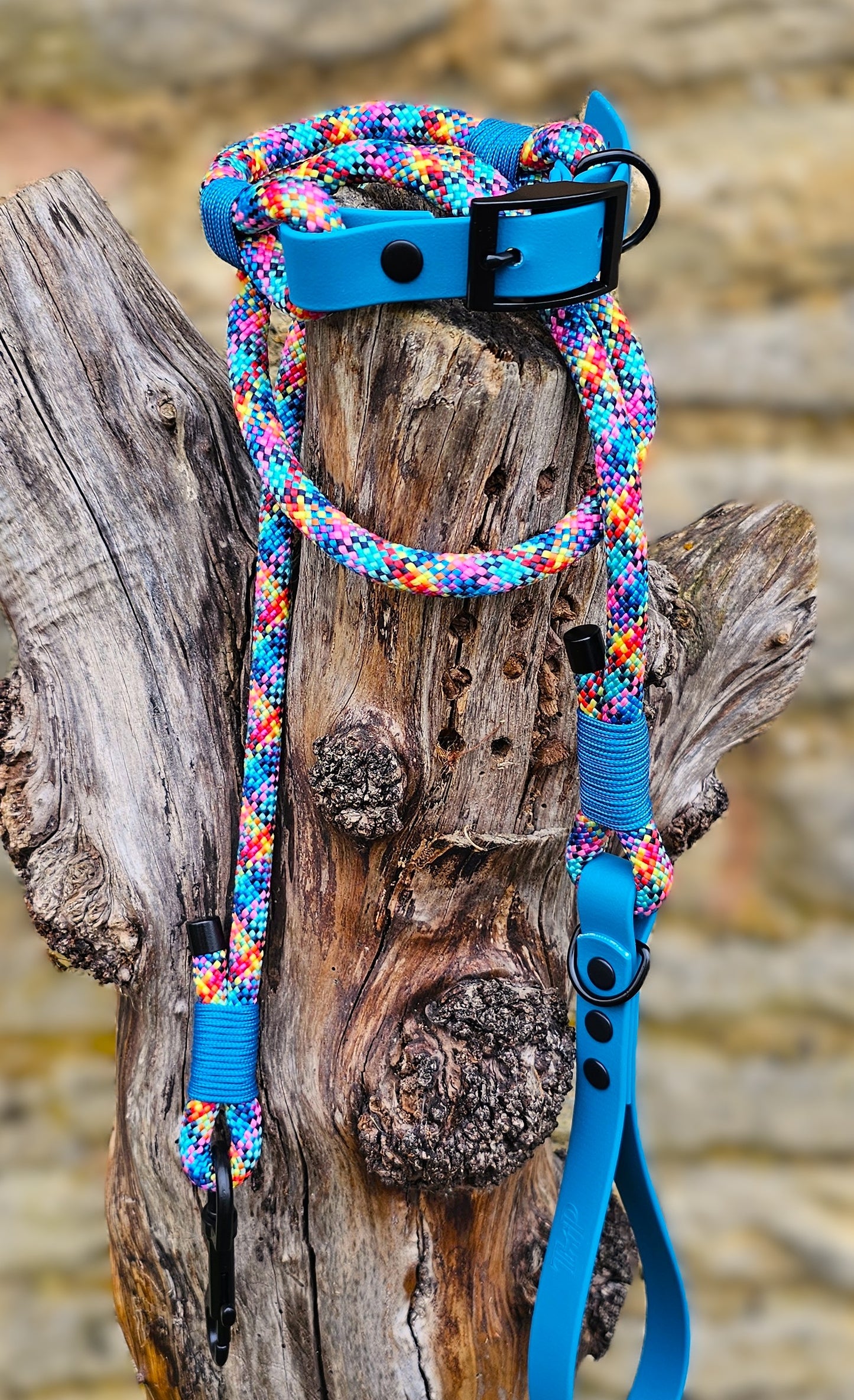Confetti - Classic Rope Dog Collar